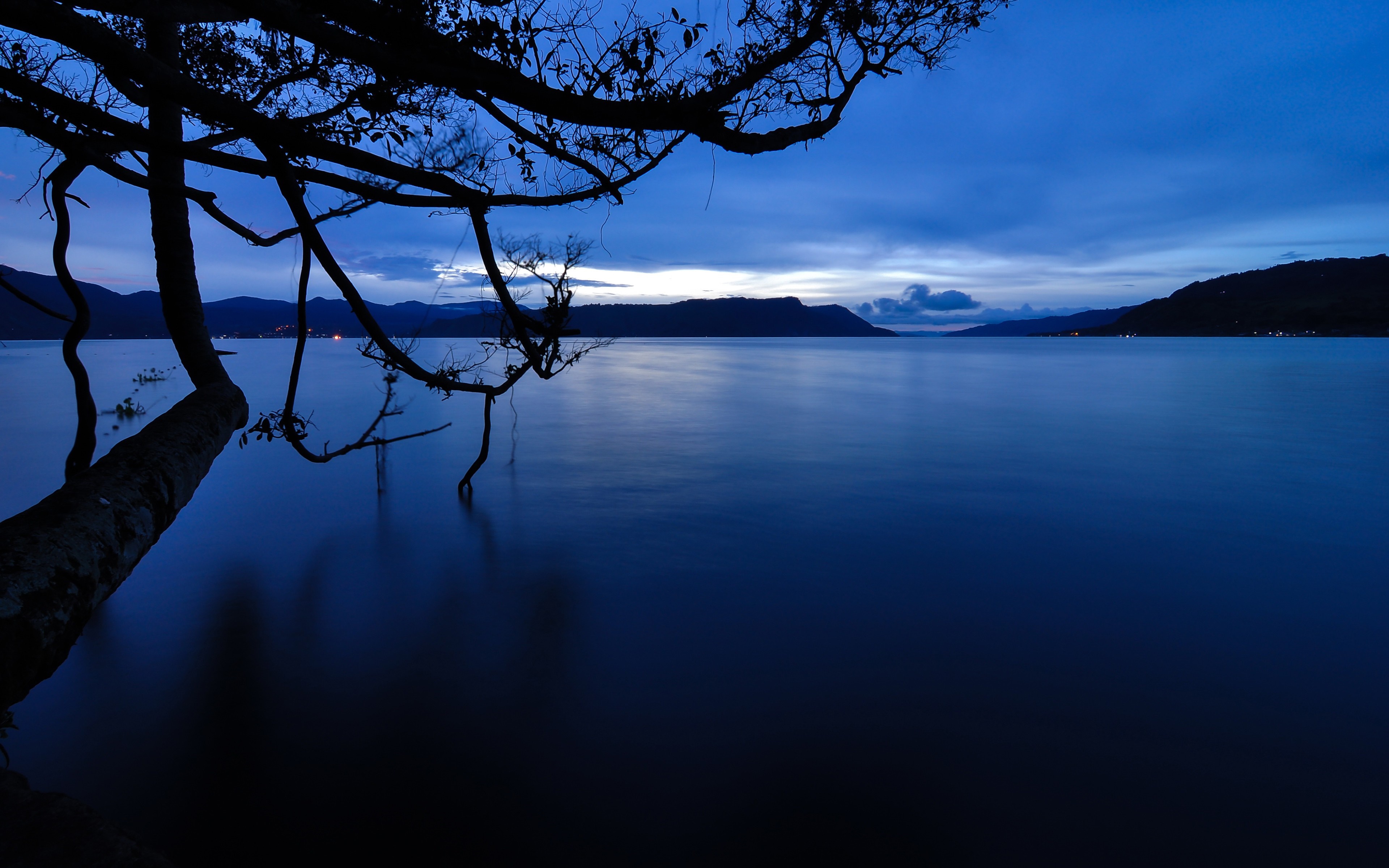 Tree branch over a calm lake at dusk HD Wallpaper