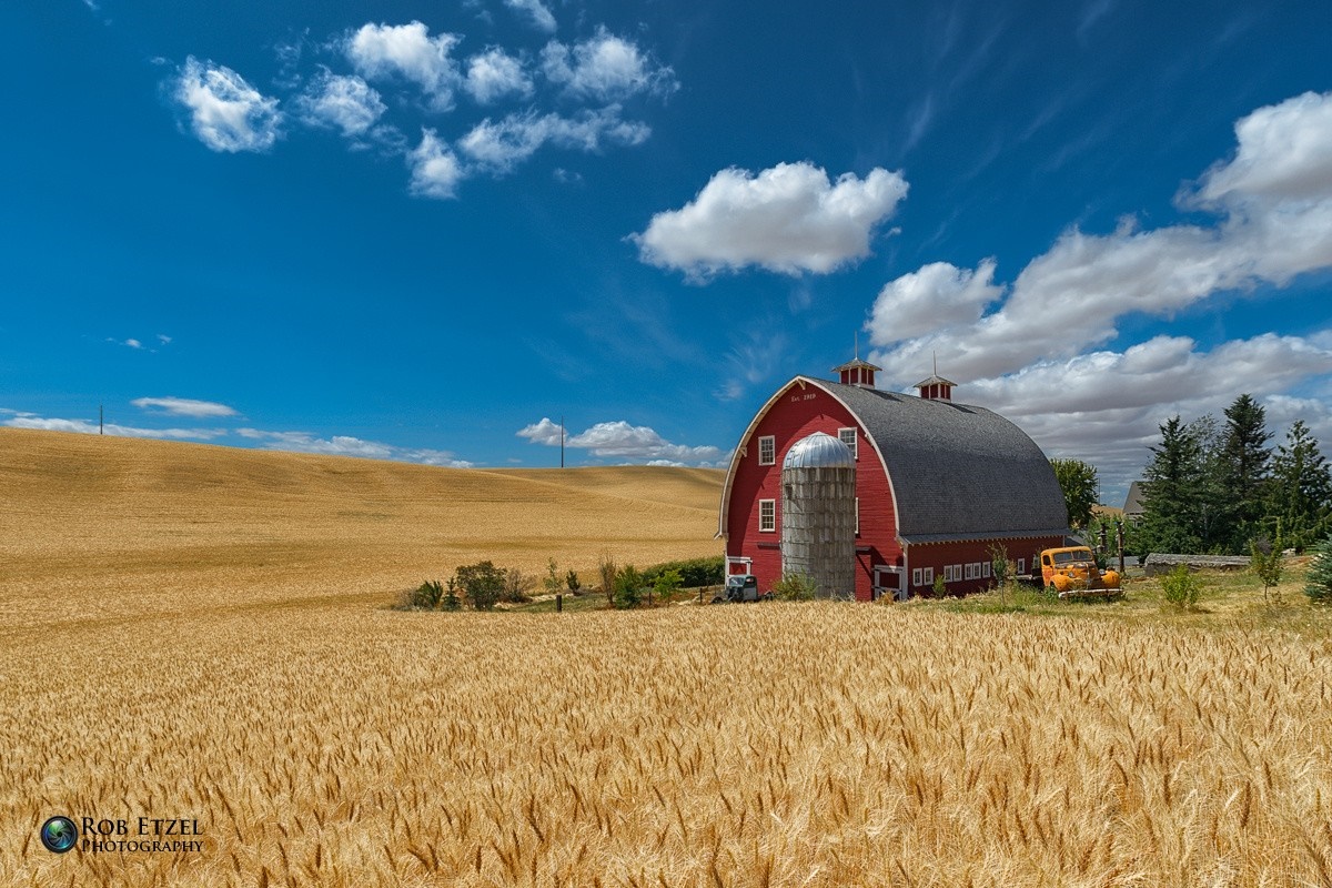 Red barn and silo in a wheat field under a blue sky HD Wallpaper