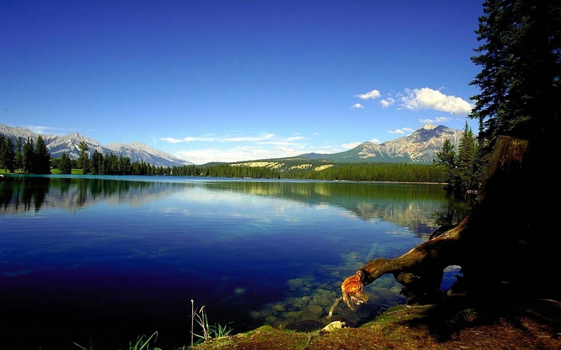 Lake with mountains and trees HD Wallpaper