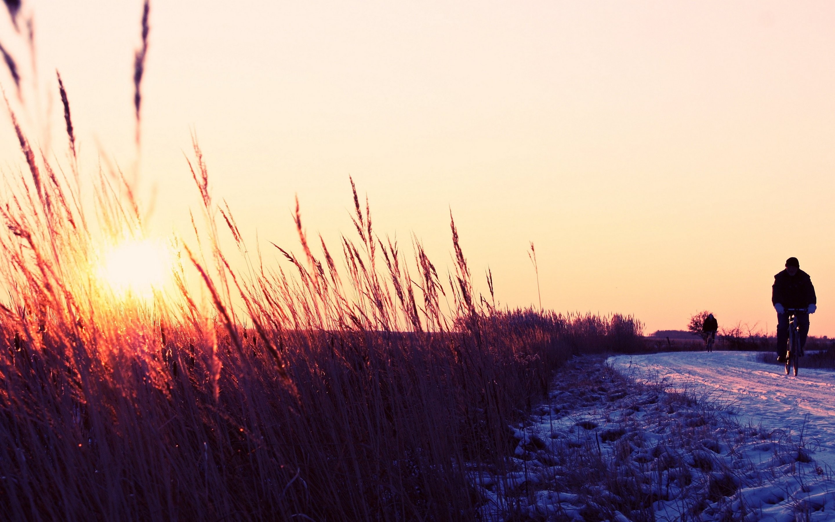 People cycling on a snowy path at sunset HD Wallpaper