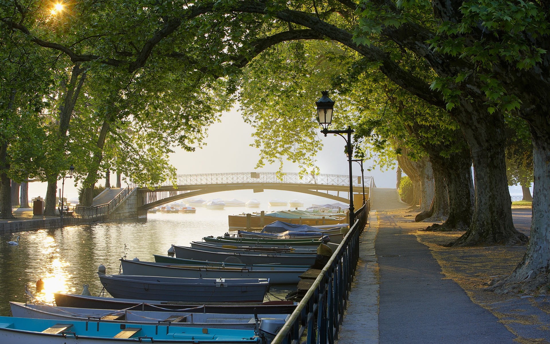 Boats docked on a canal under a tree-lined promenade HD Wallpaper