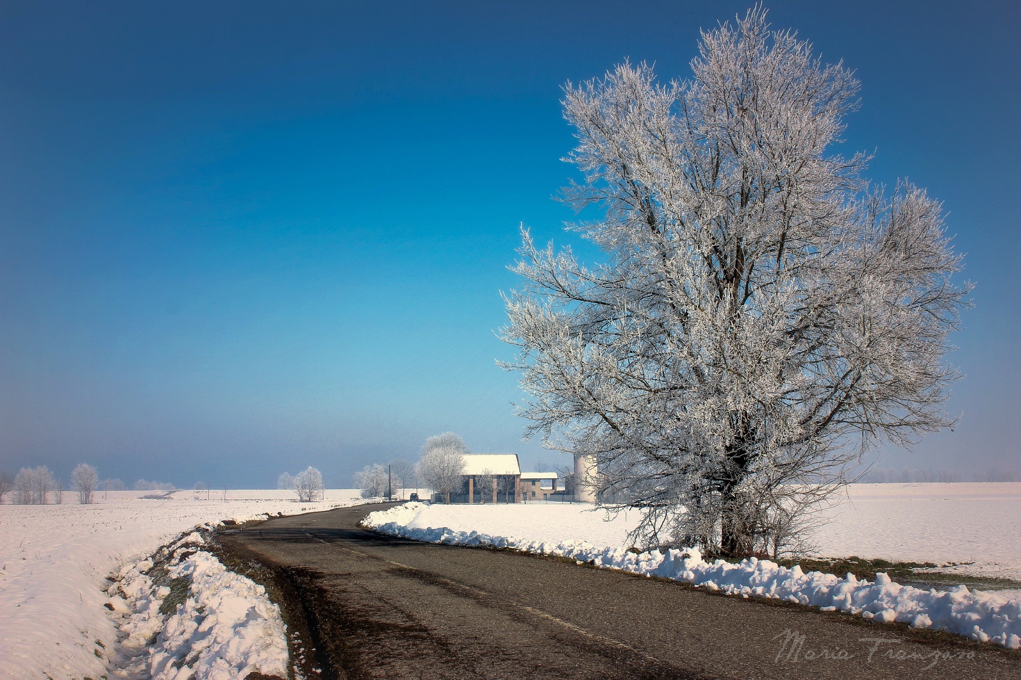 Winter landscape with frosted tree and road HD Wallpaper