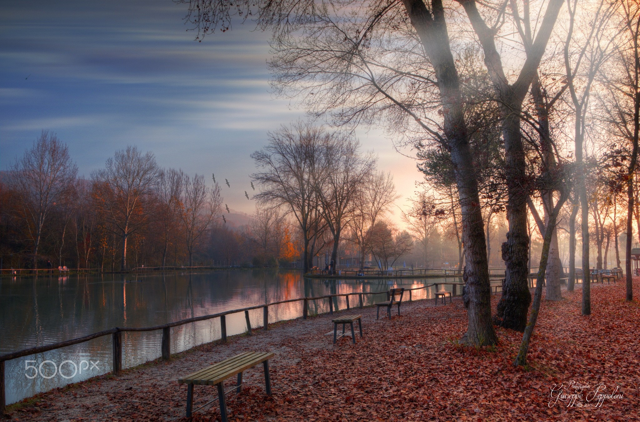 Autumn lake scene with trees and fallen leaves HD Wallpaper