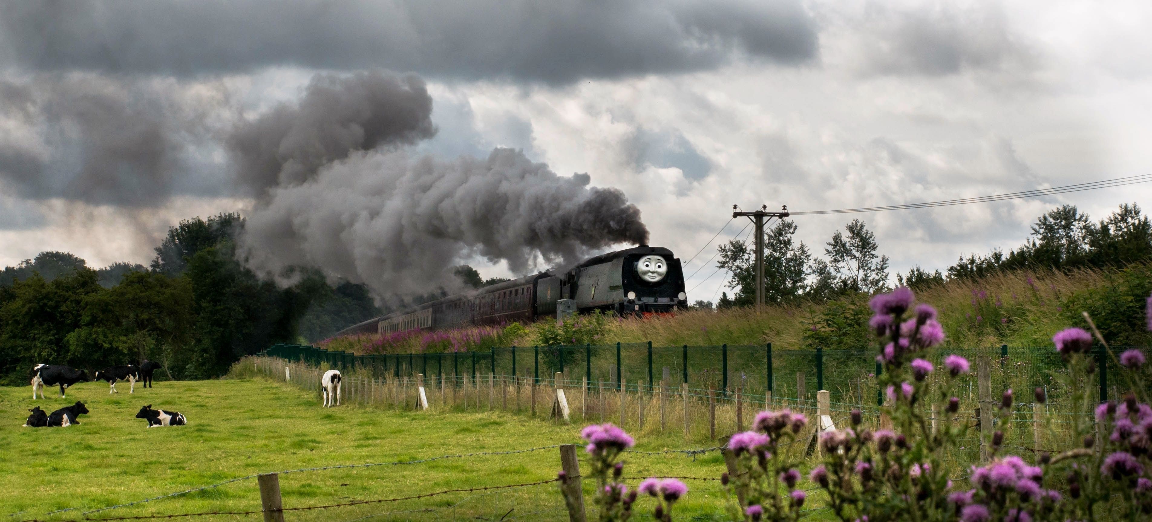 Steam train with face, cows in a field, stormy sky HD Wallpaper
