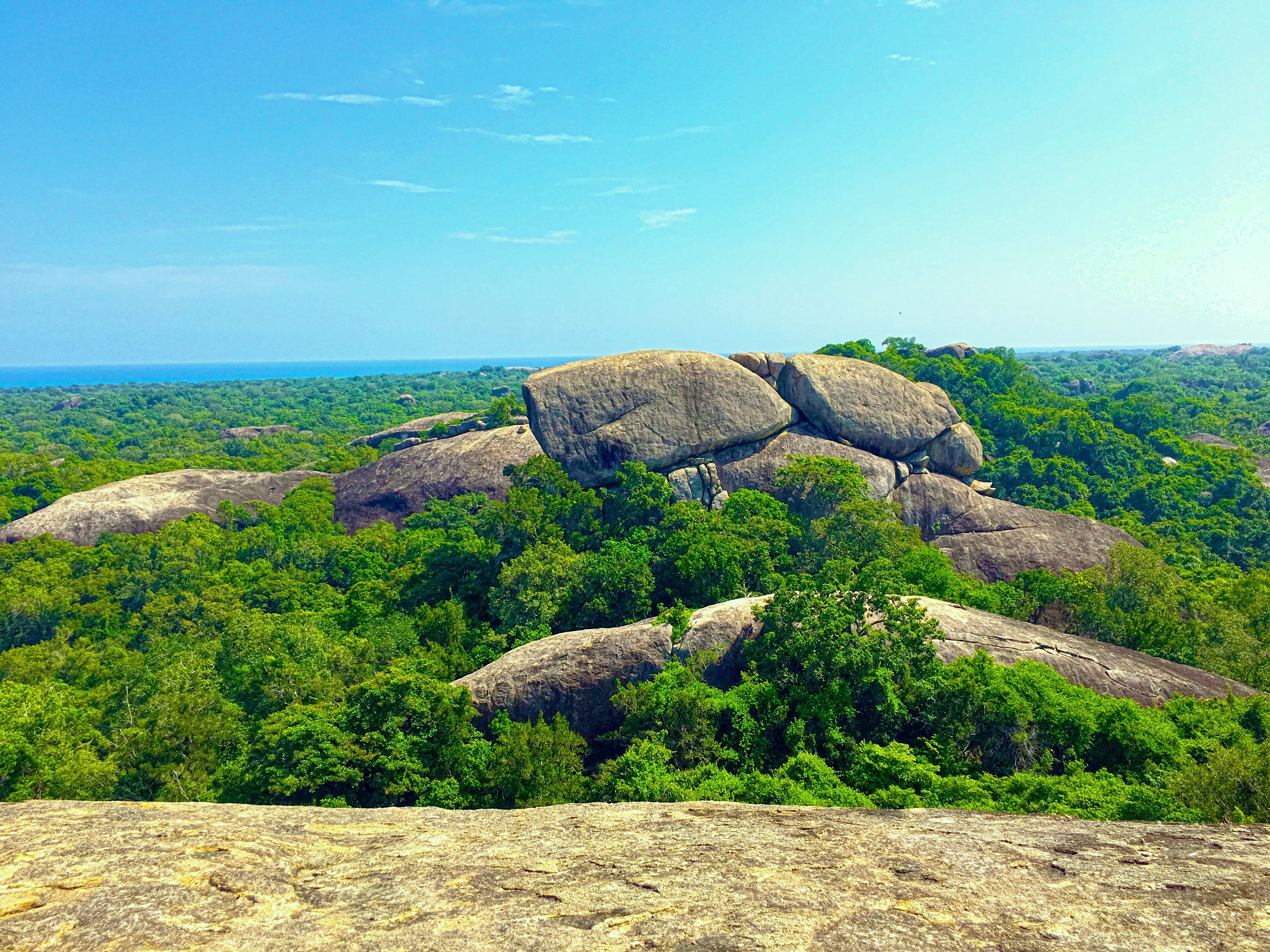 Rocky outcrop overlooking a lush green forest and the sea HD Wallpaper