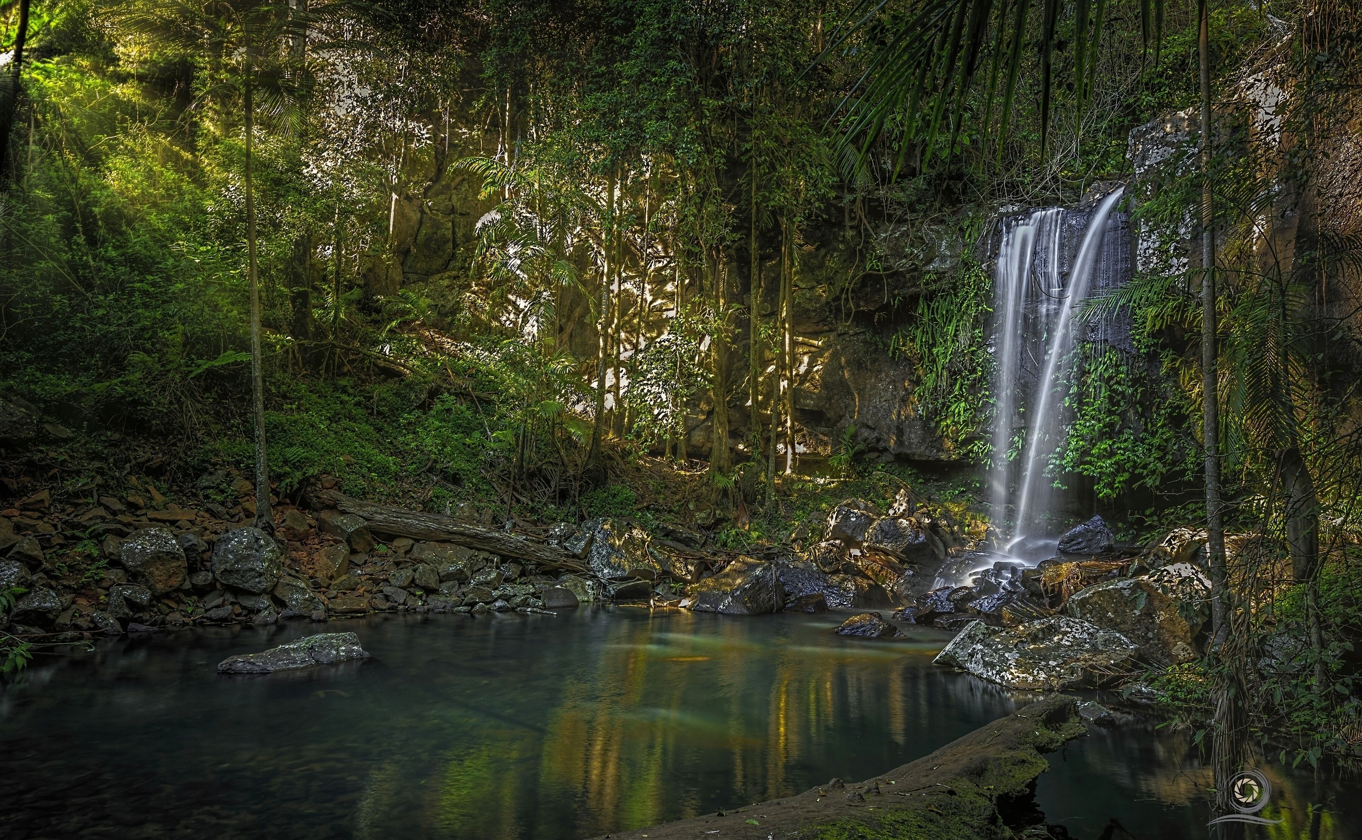 Curtis Falls waterfall in a rainforest, Queensland, Australia HD Wallpaper