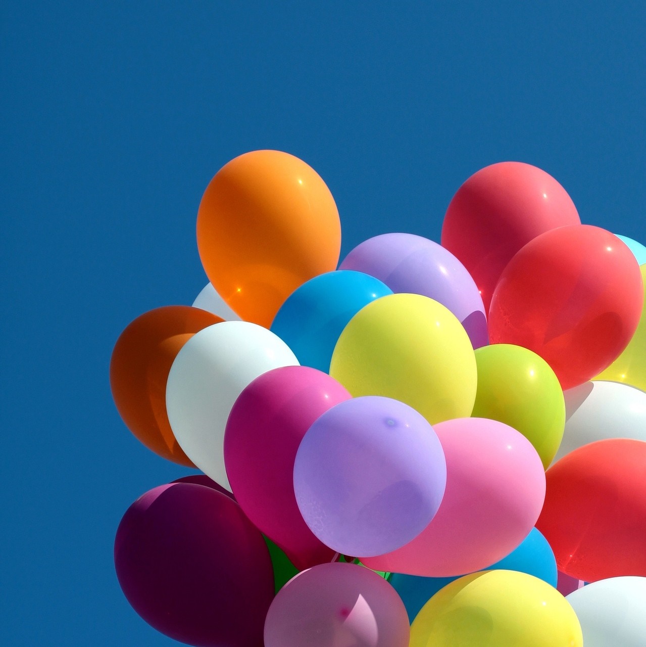 A collection of colorful balloons against a clear blue sky HD Wallpaper