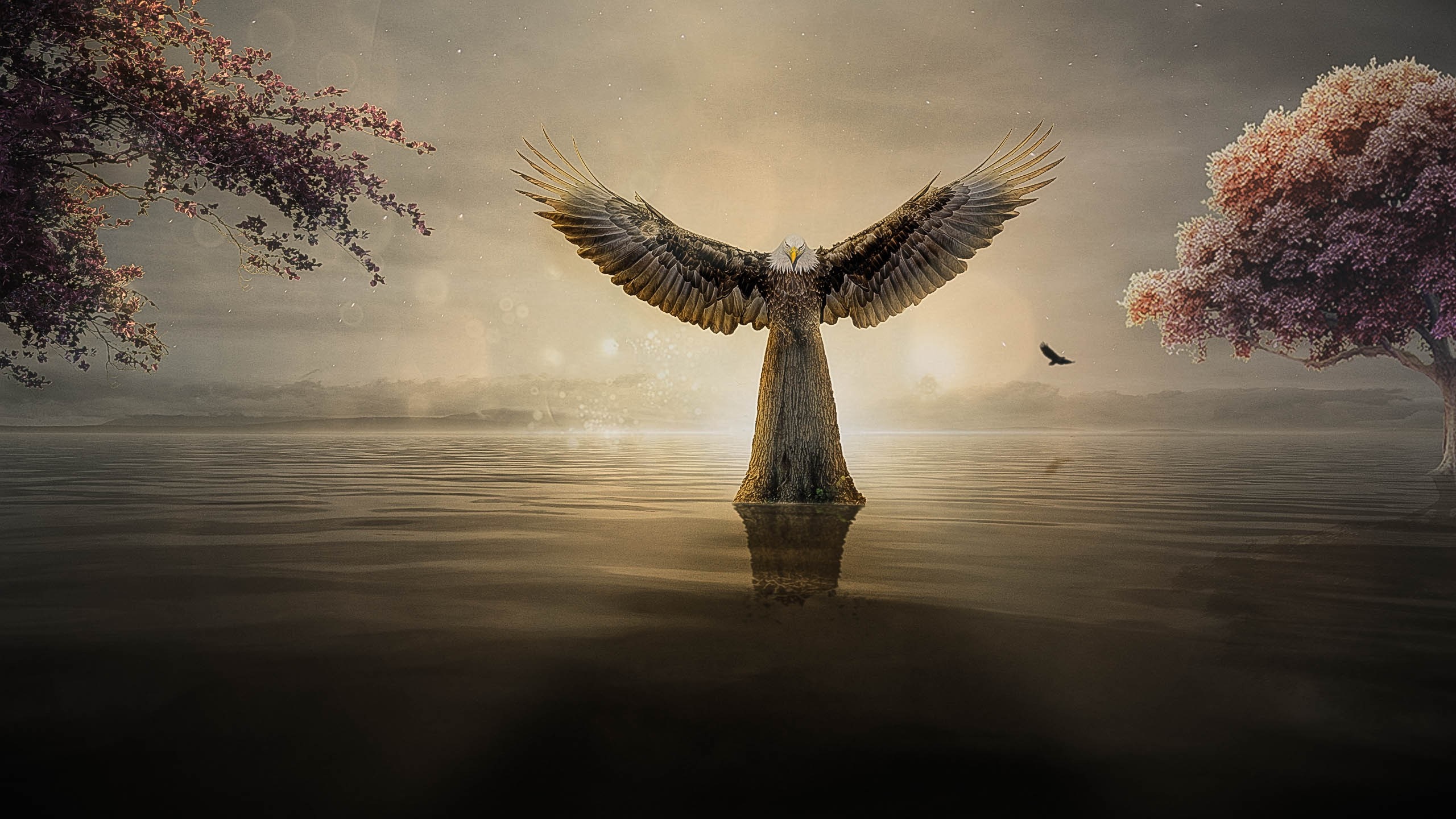 Eagle figure with wings spread over water at sunset HD Wallpaper