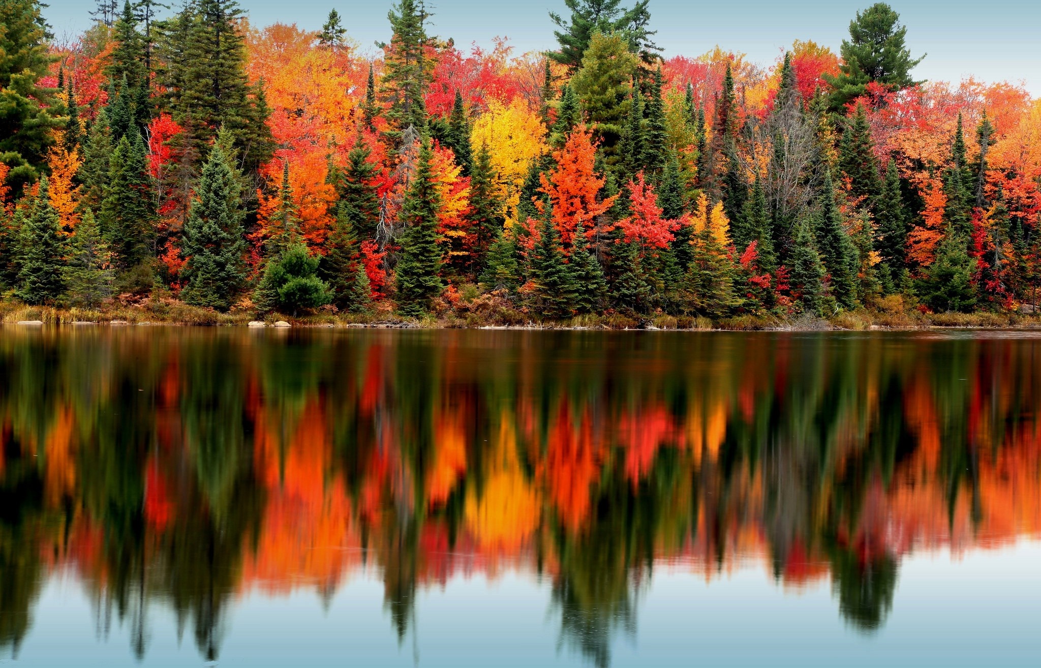 Autumn forest reflected in a calm lake HD Wallpaper