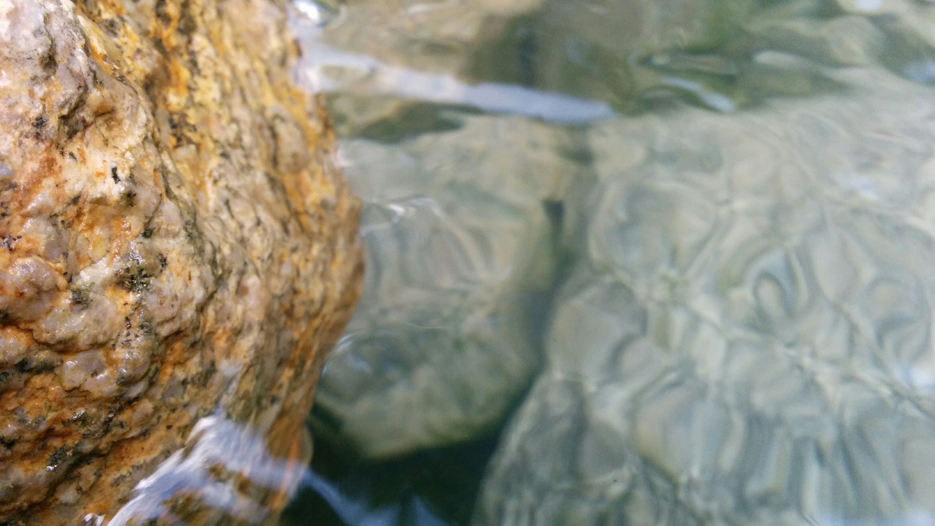 Close up of a wet rock in clear water HD Wallpaper