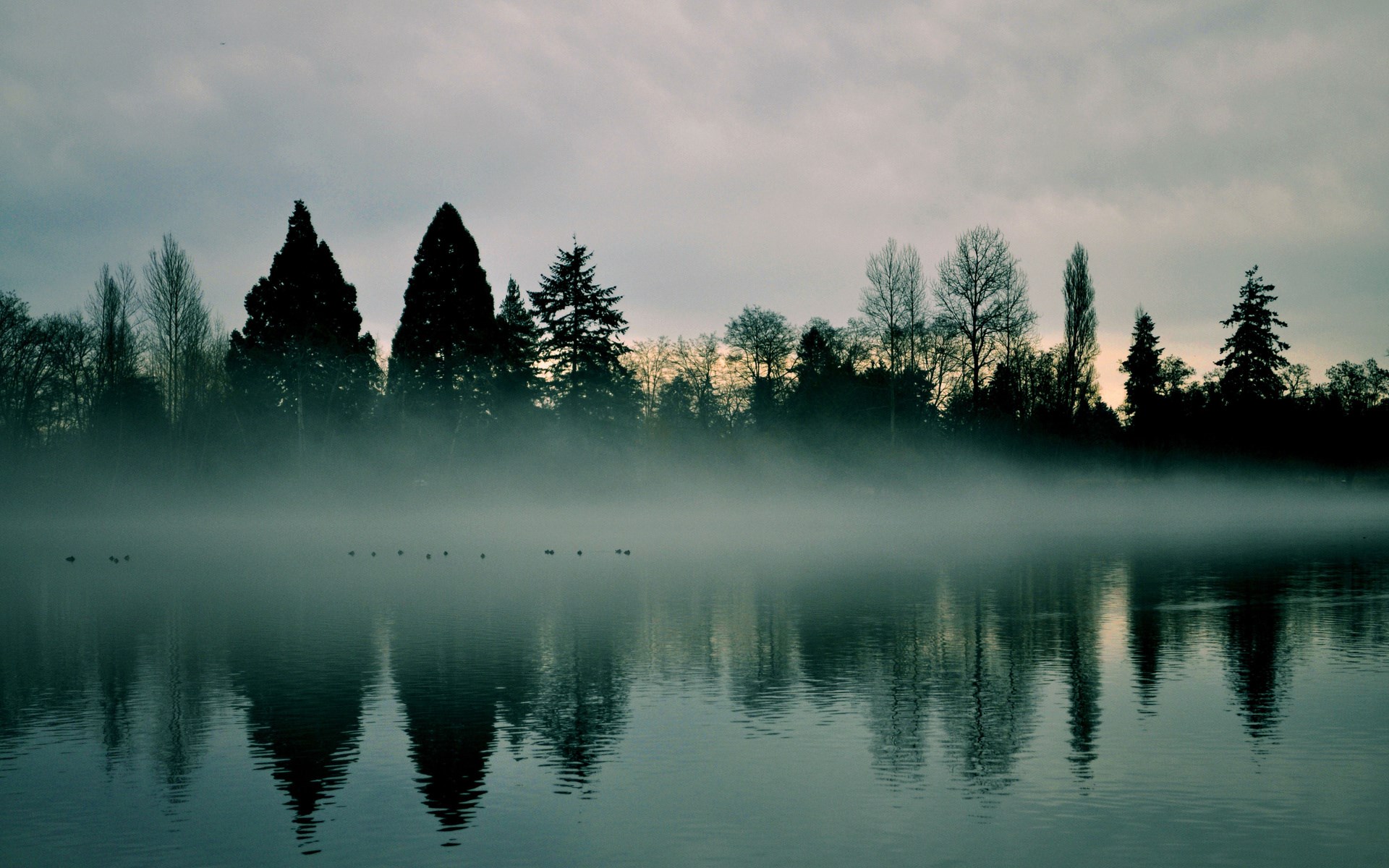 Misty lake with silhouetted trees and reflections HD Wallpaper