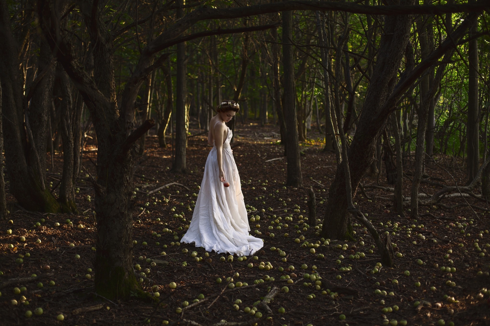 Bride in a white dress in a forest with apples HD Wallpaper