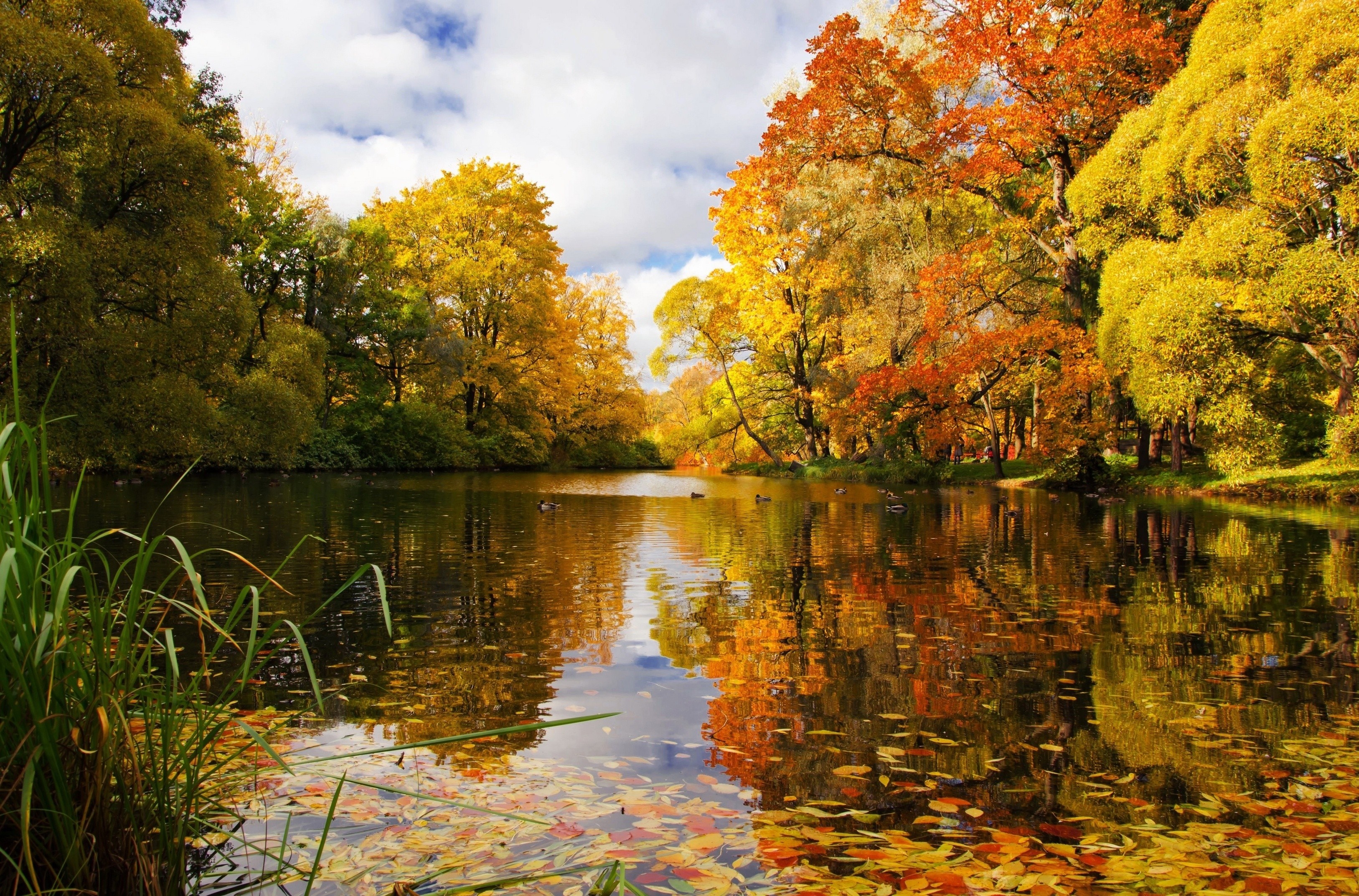 Autumn lake with colorful trees and reflections HD Wallpaper