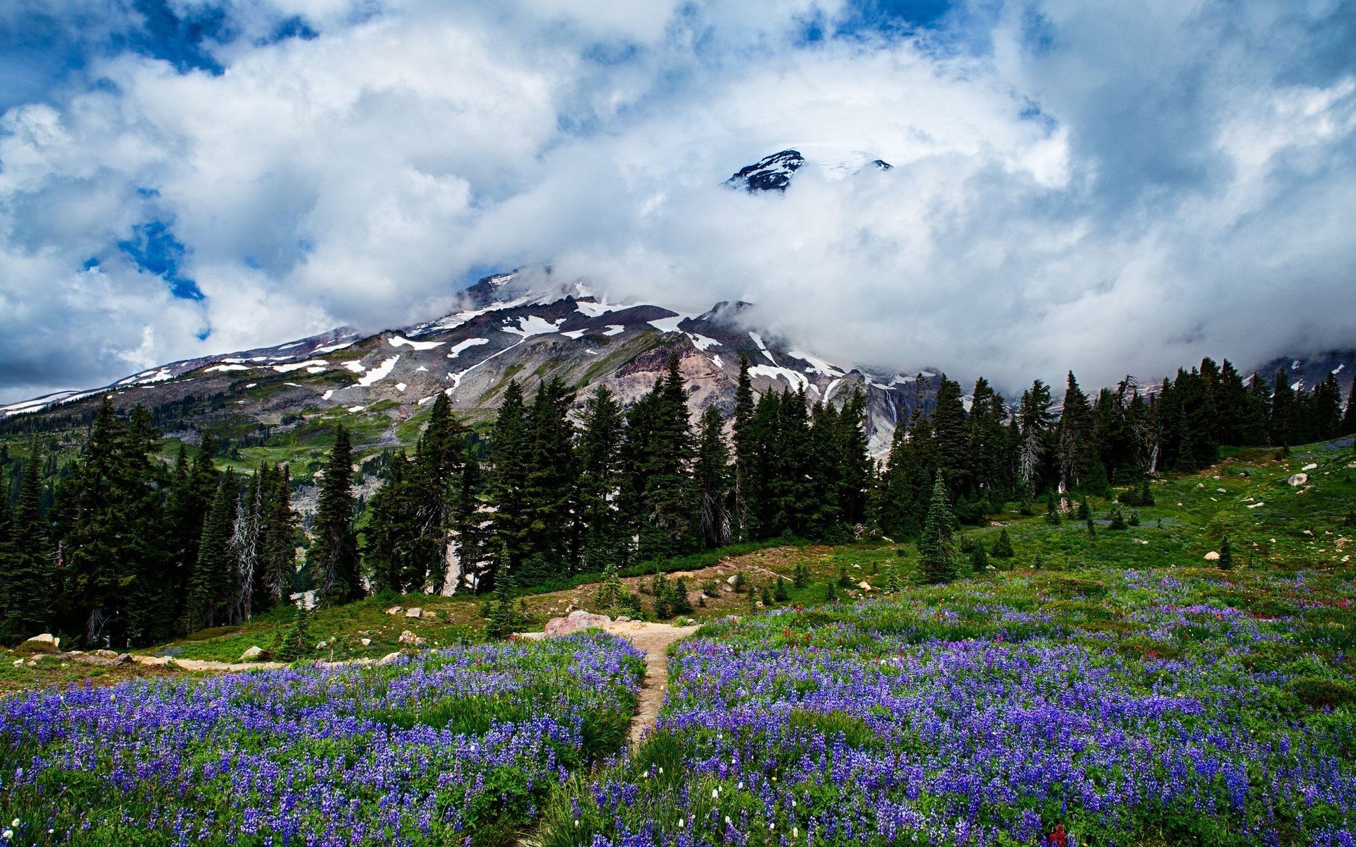 Mountain landscape with wildflowers and clouds HD Wallpaper