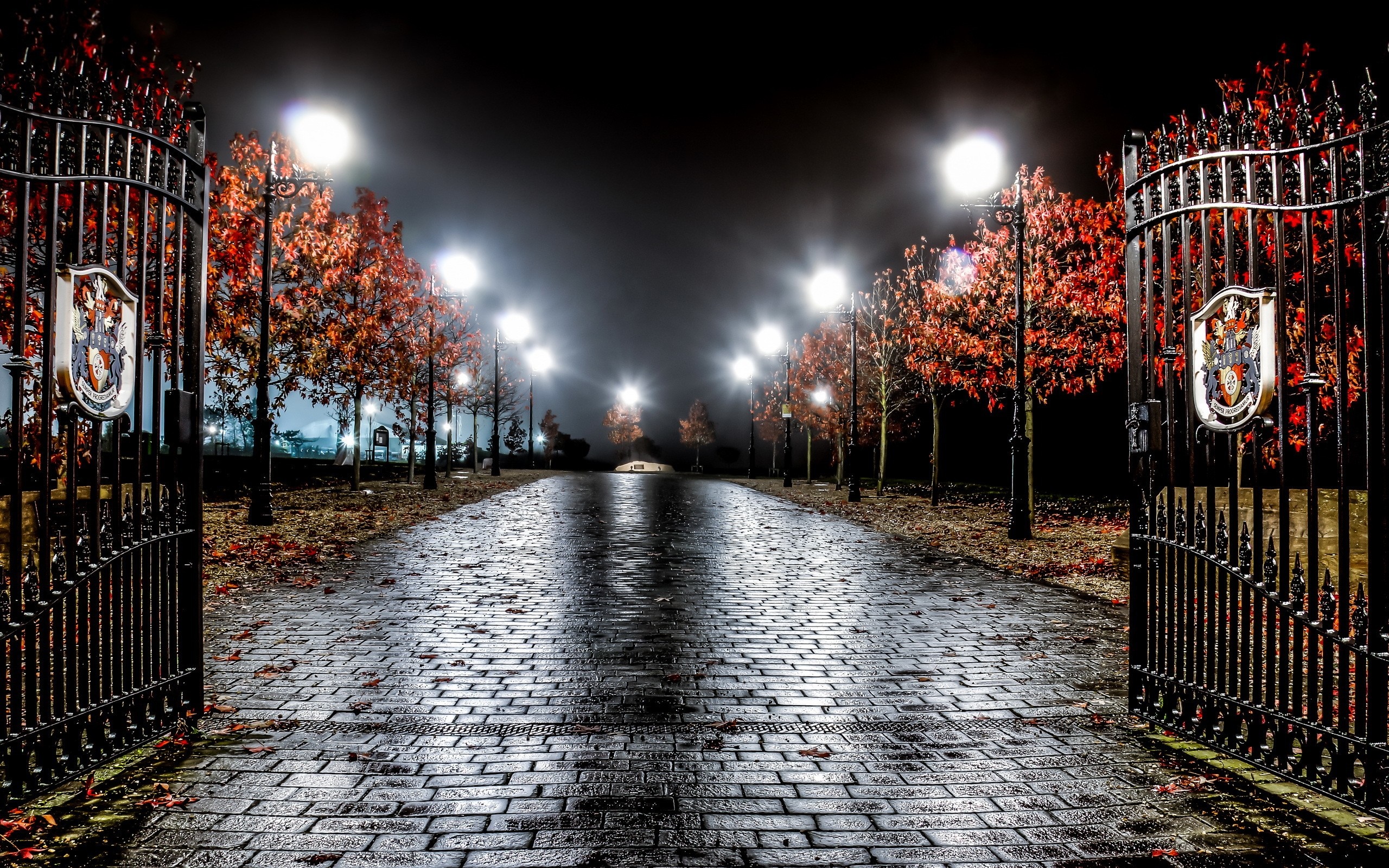 Ornate gates and illuminated trees at night HD Wallpaper