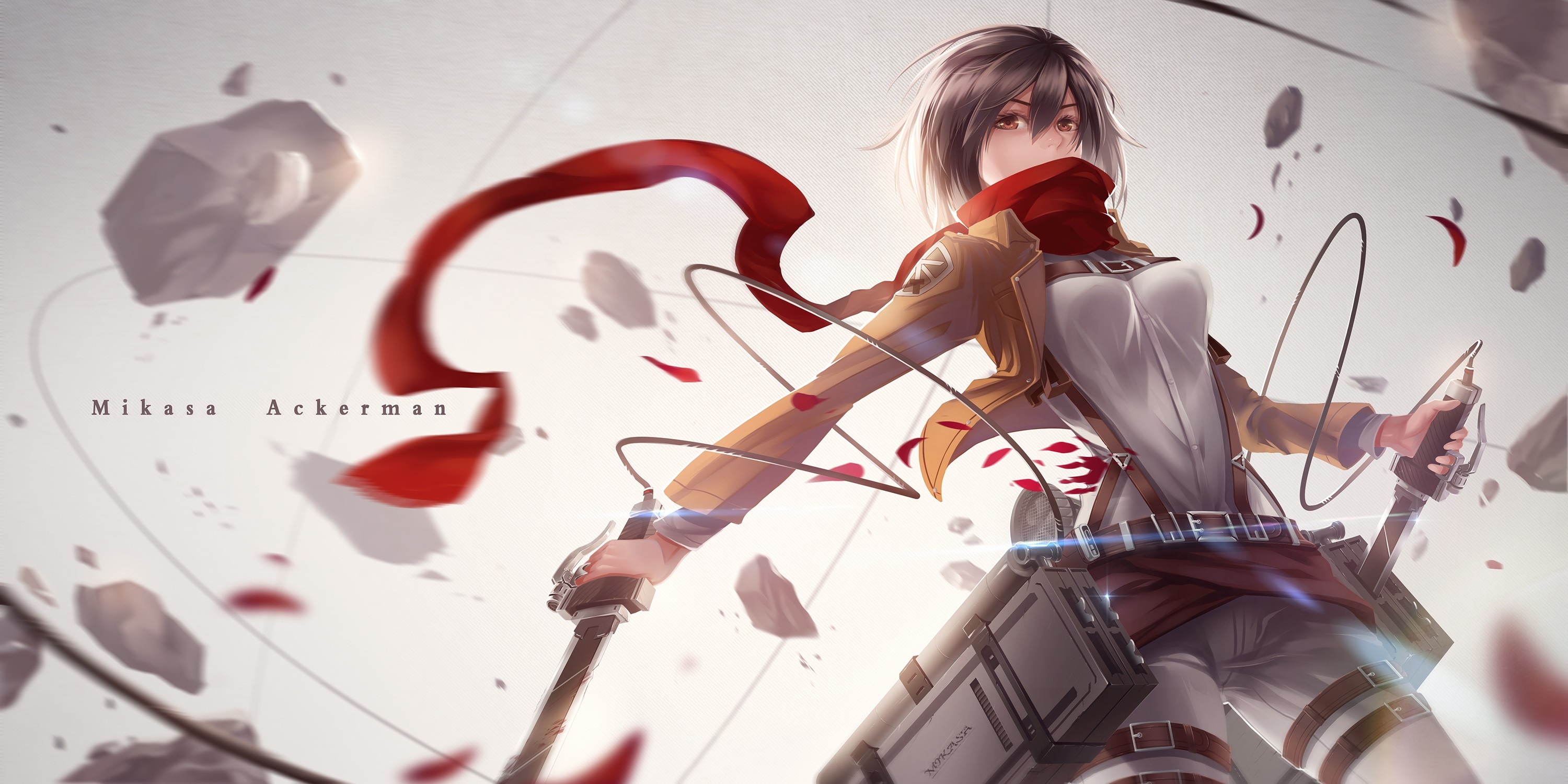 Mikasa Ackerman from Shingeki no Kyojin HD Wallpaper