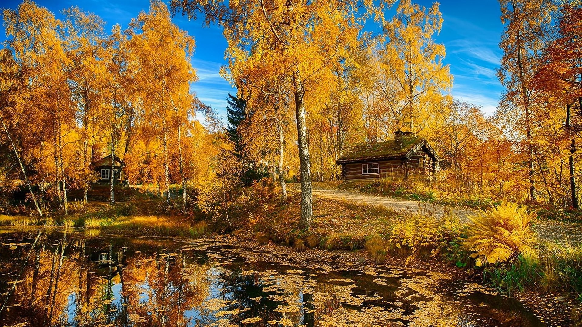 Autumn forest with a pond and log cabins HD Wallpaper