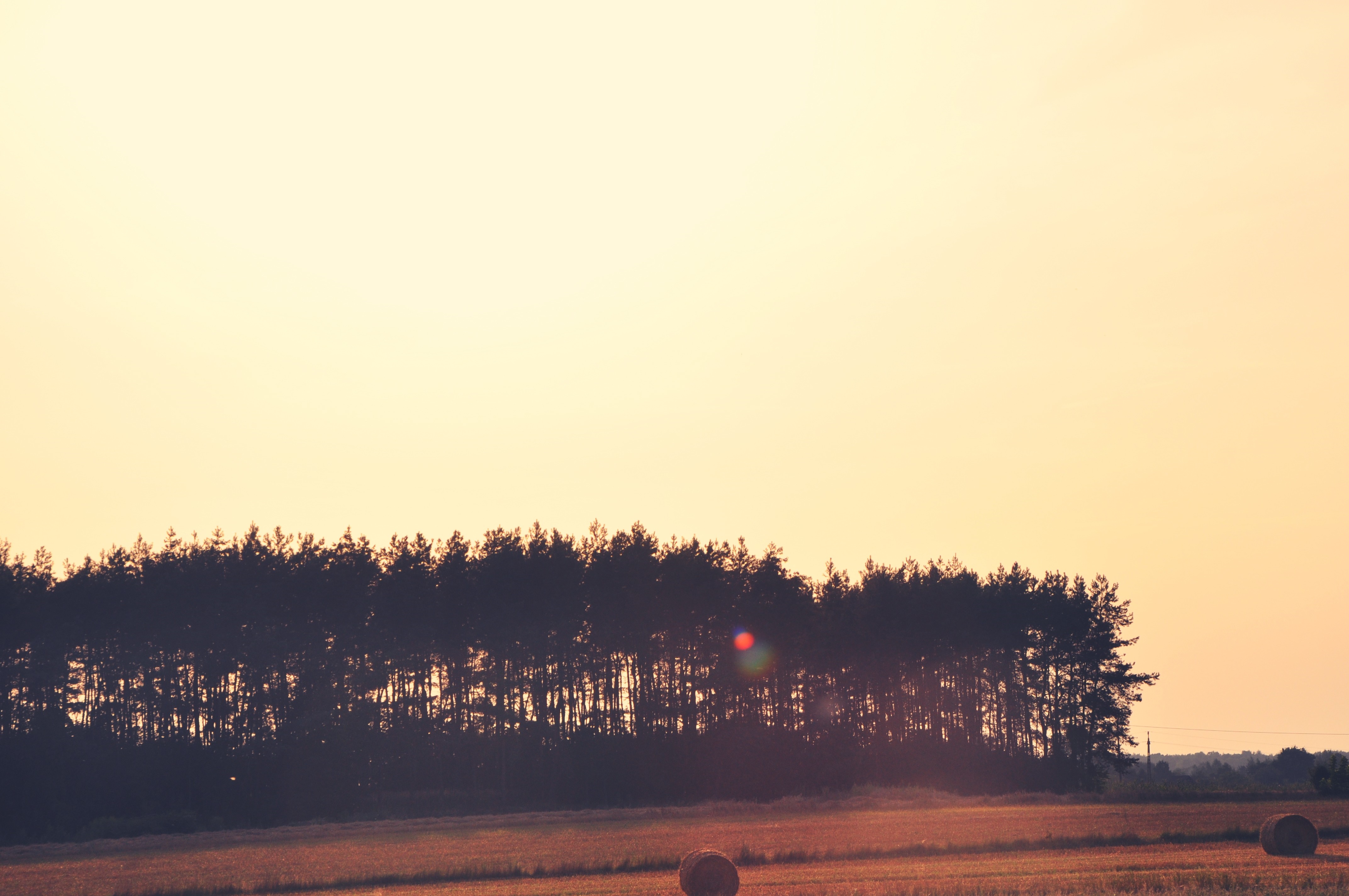 Silhouette of trees at sunset over a field with hay bales HD Wallpaper