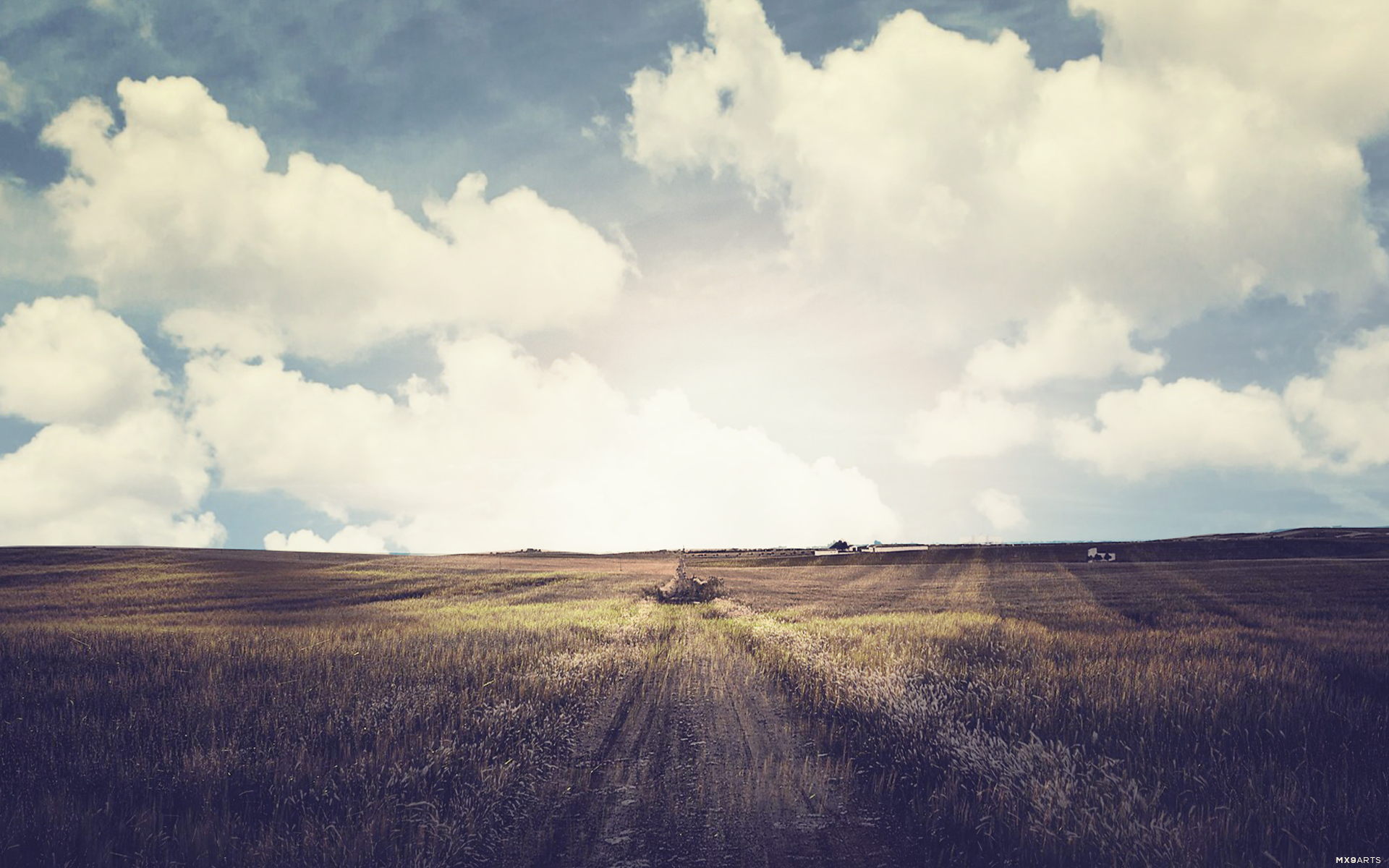 A vast field under a cloudy sky HD Wallpaper