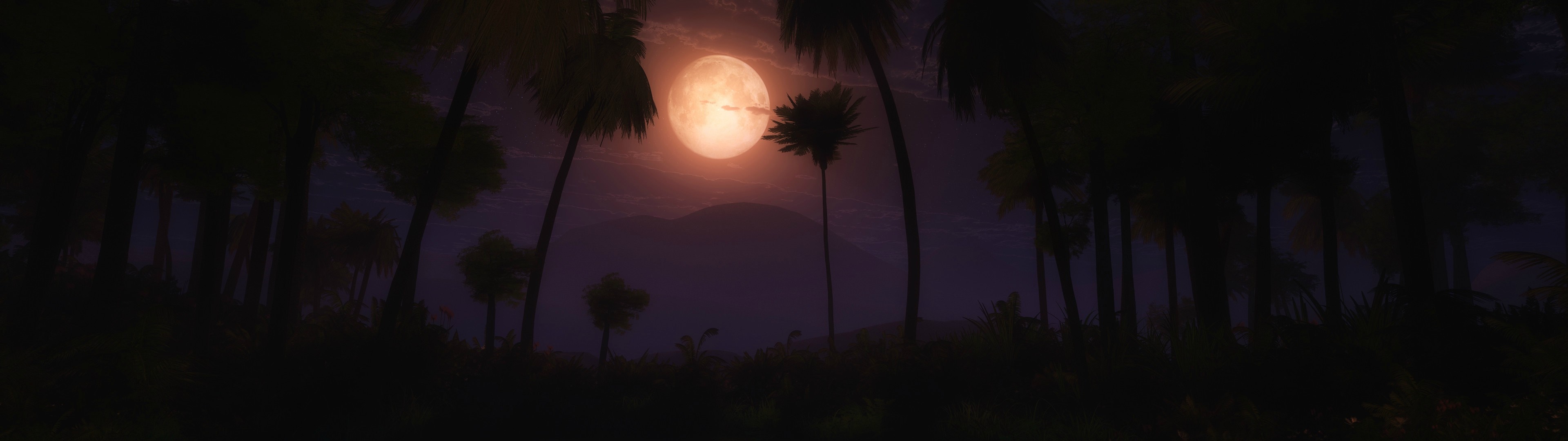 Night sky with full moon over palm trees HD Wallpaper