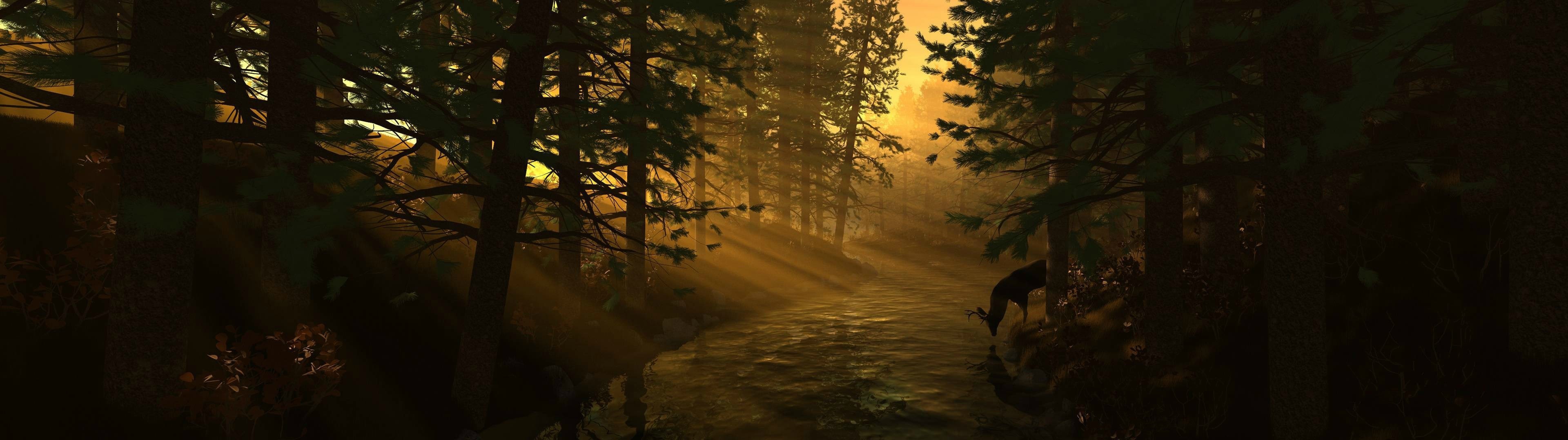 Deer drinks from a river in a sunlit forest HD Wallpaper