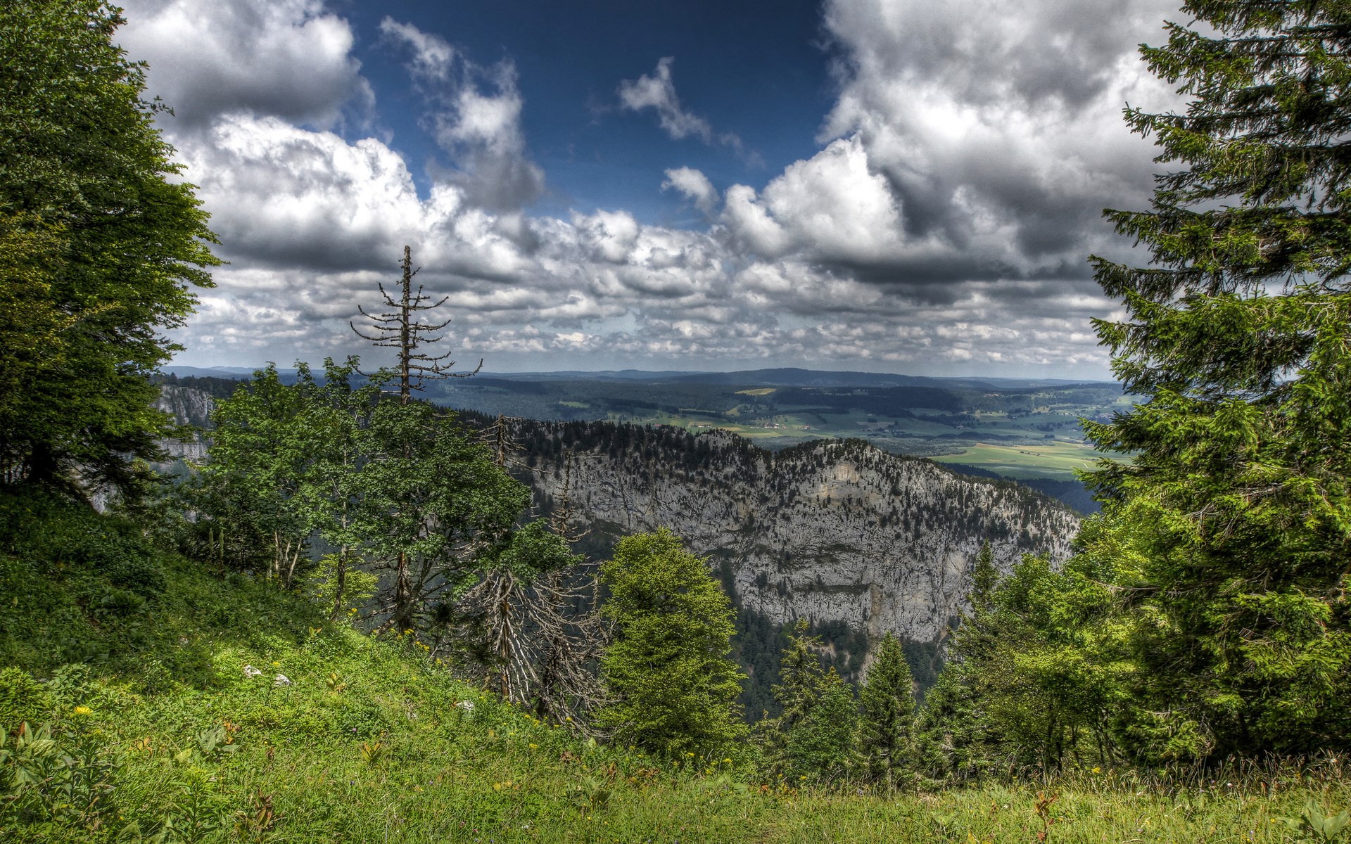 Mountain landscape with trees and clouds HD Wallpaper