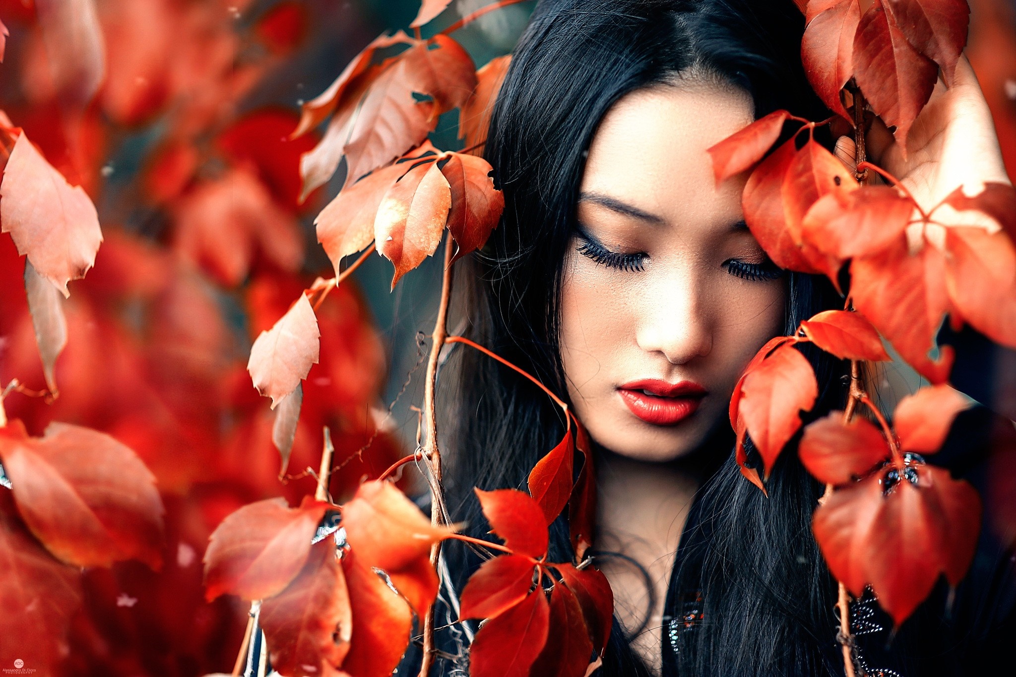 Woman with red leaves, Alessandro Di Cicco photography HD Wallpaper