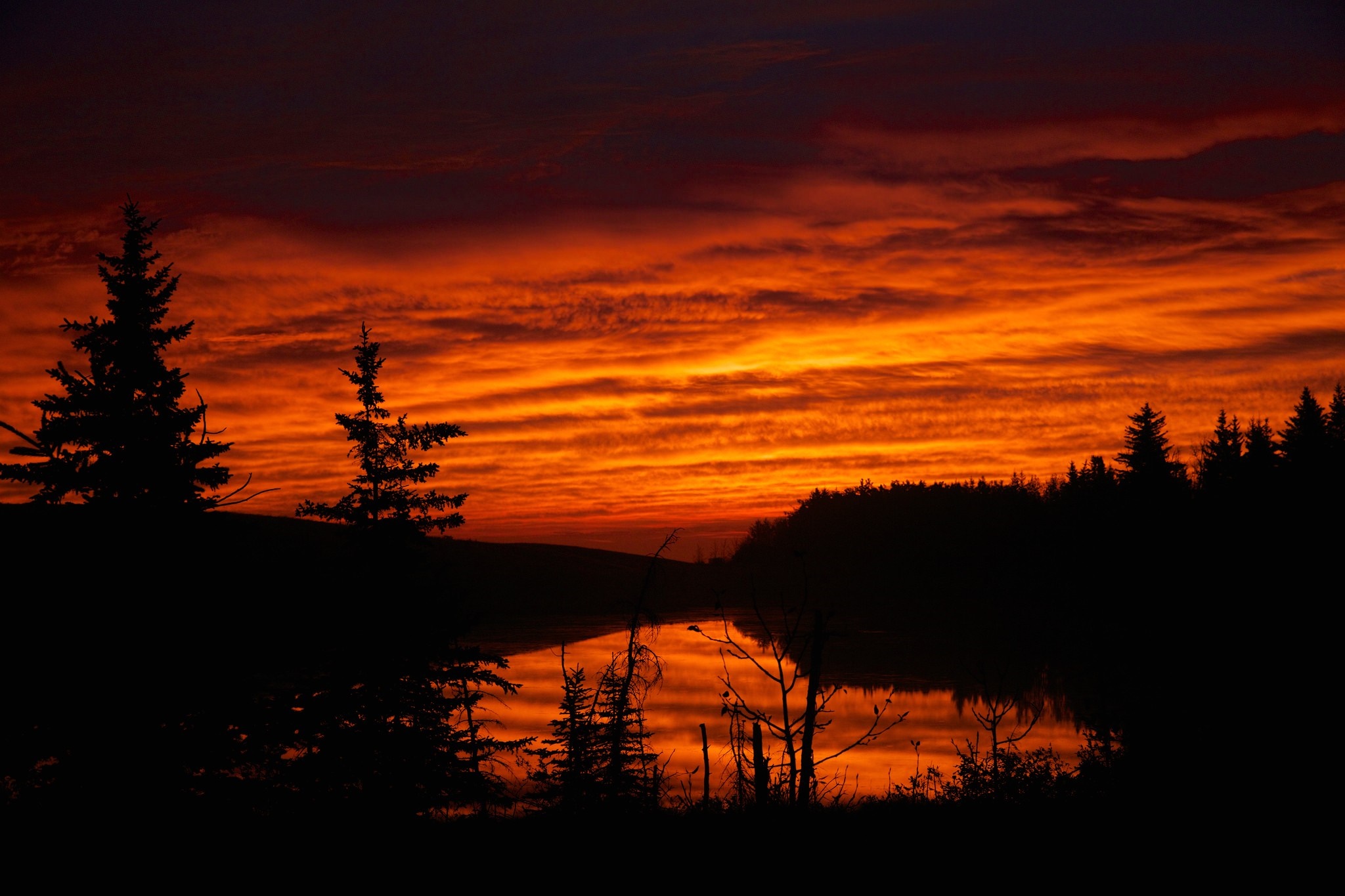 Sunset over a lake with silhouetted trees HD Wallpaper