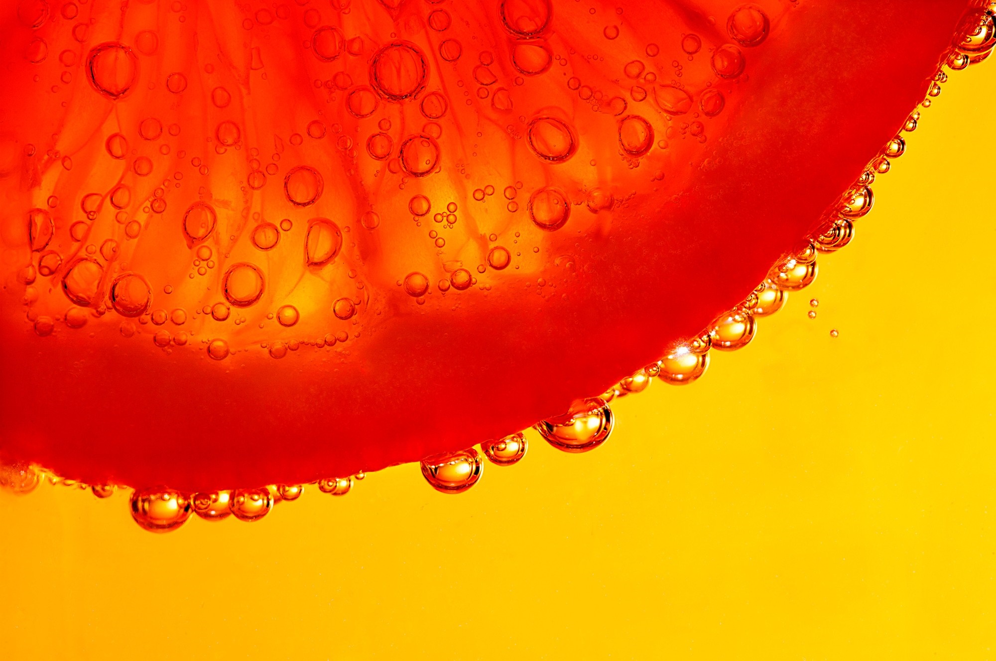 Close-up of a red grapefruit slice with bubbles HD Wallpaper