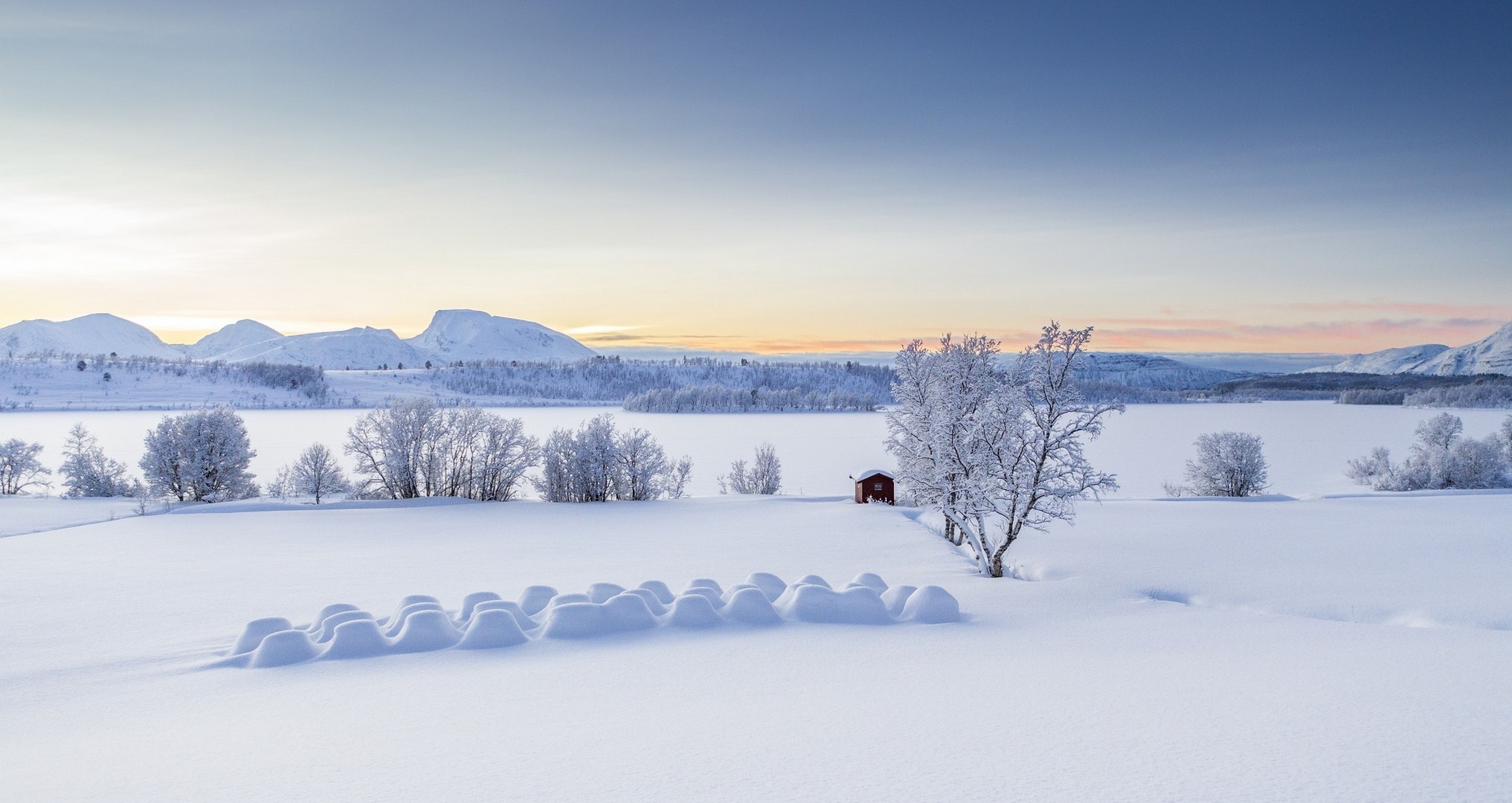Snowy landscape with frosted trees and mountains HD Wallpaper