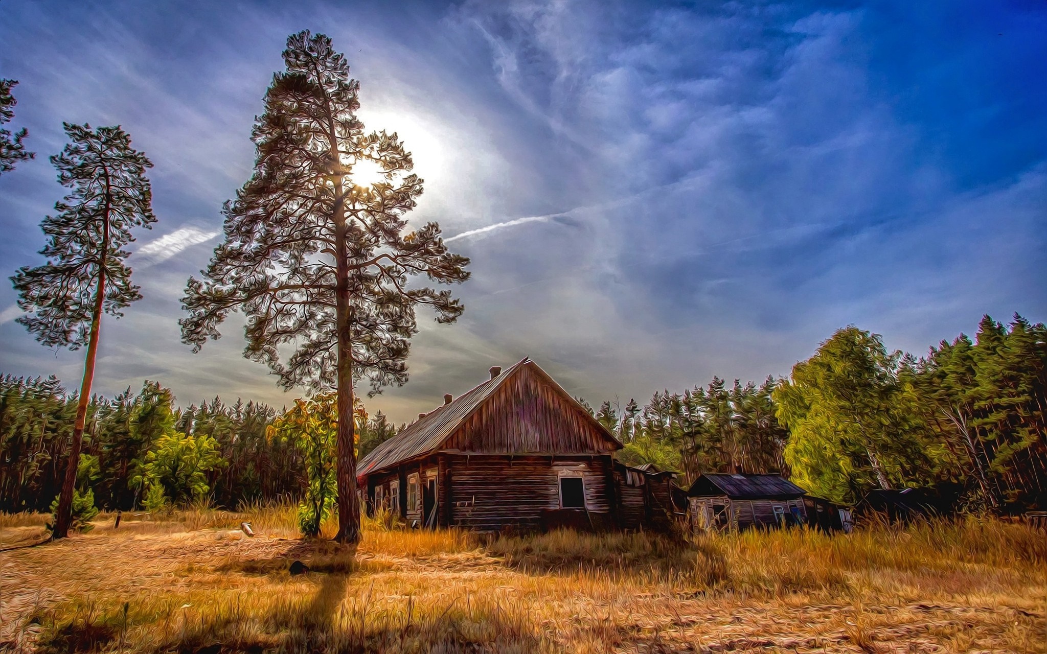 Abandoned wooden house in a forest clearing HD Wallpaper