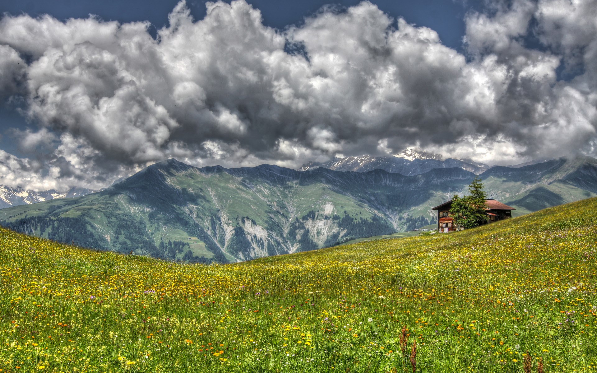 Alpine meadow with house and mountains HD Wallpaper