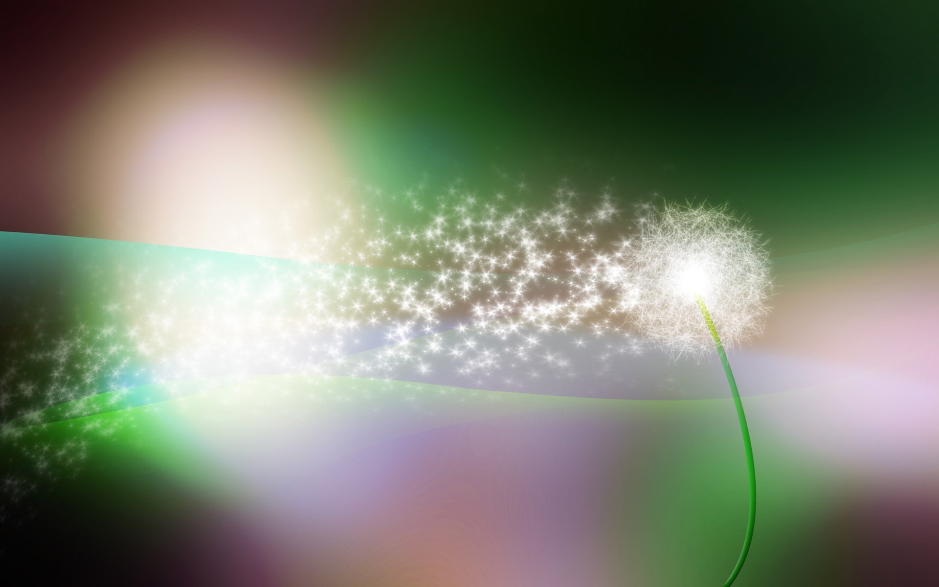 Dandelion with glowing seeds and abstract background HD Wallpaper