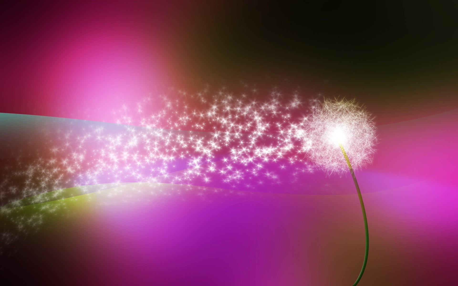 Glowing Dandelion with Abstract Colorful Light HD Wallpaper