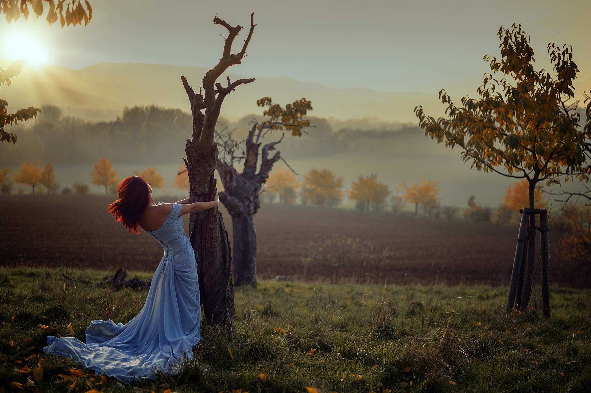 Woman in blue dress leaning on a tree at sunset HD Wallpaper