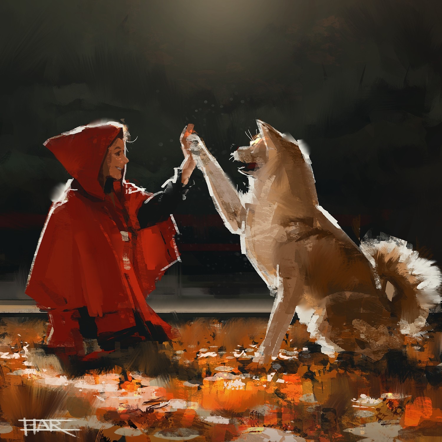 Girl in red hood gives high five to dog HD Wallpaper