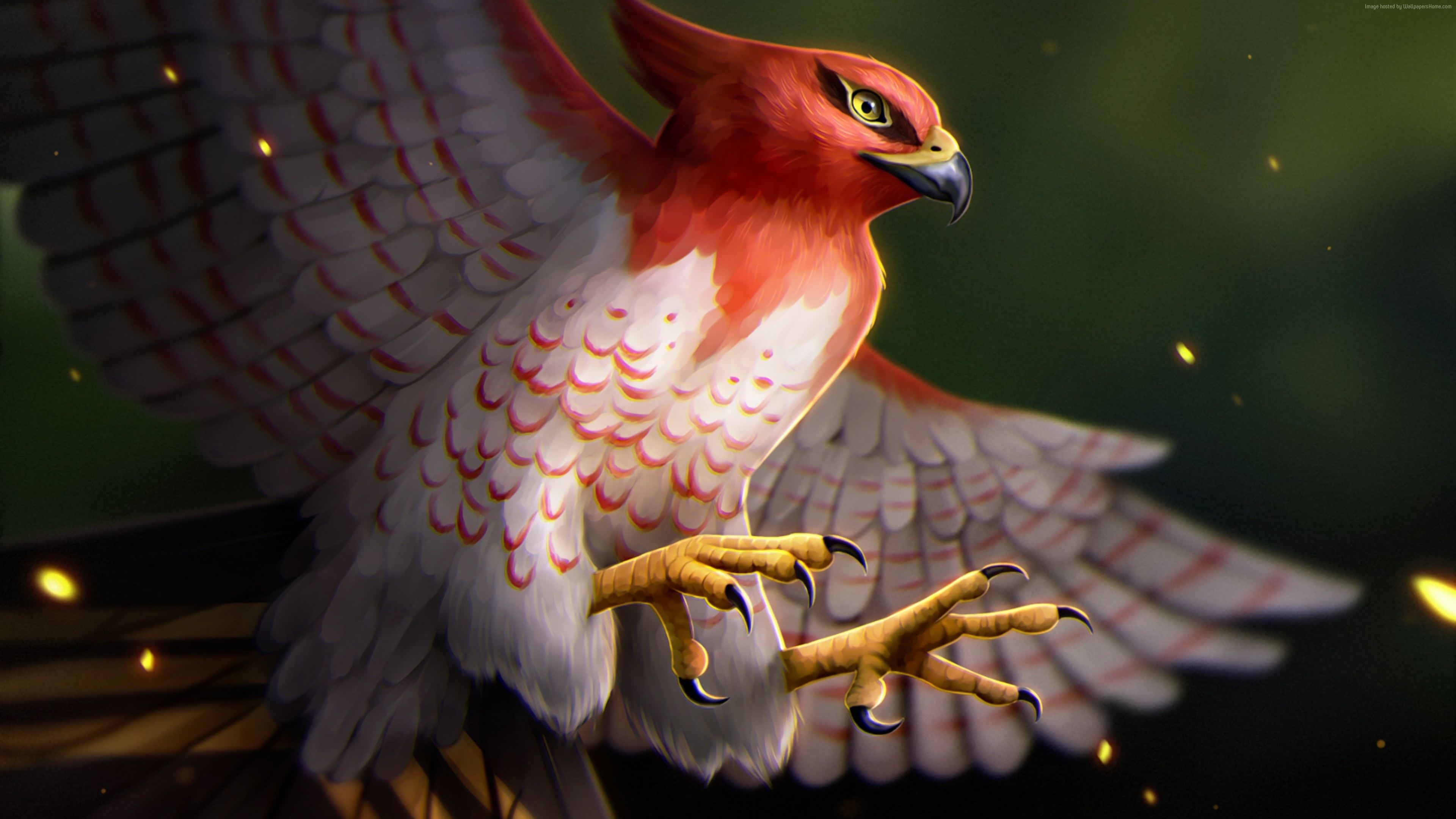 Talonflame from Pokemon HD Wallpaper