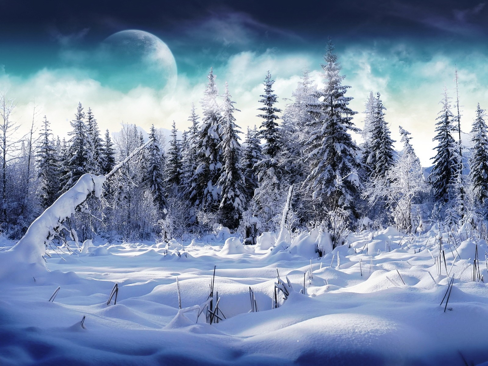 Snowy forest with a large moon in the sky HD Wallpaper