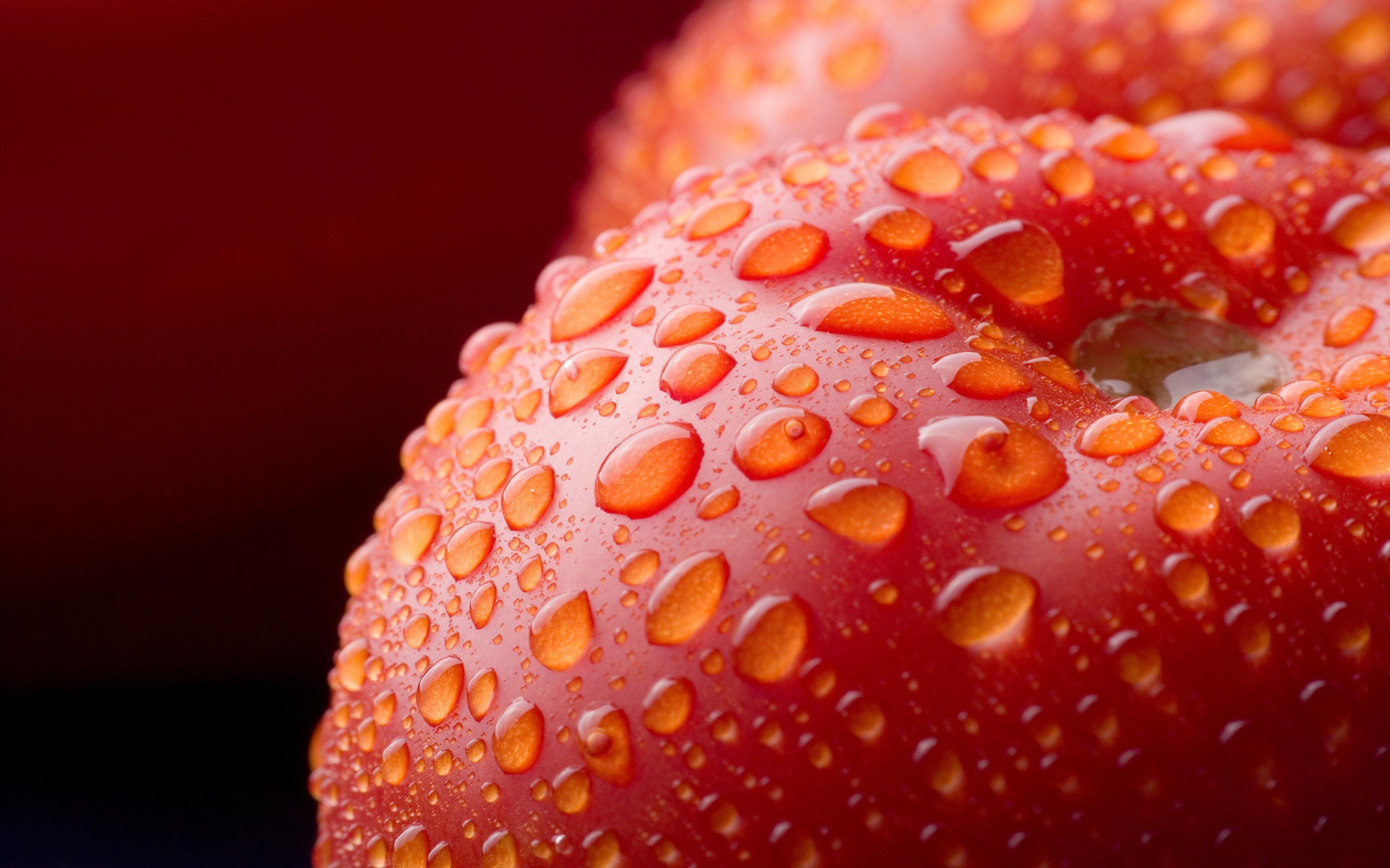 Close up of red tomatoes with water droplets HD Wallpaper