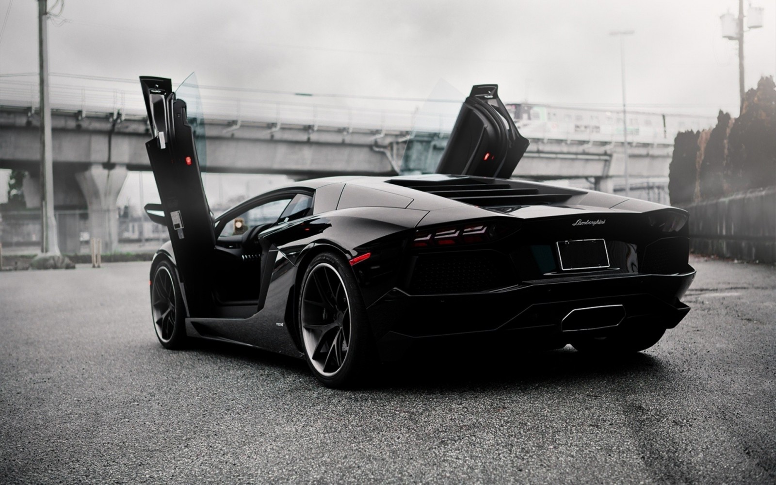 Black Lamborghini Aventador with scissor doors open HD Wallpaper