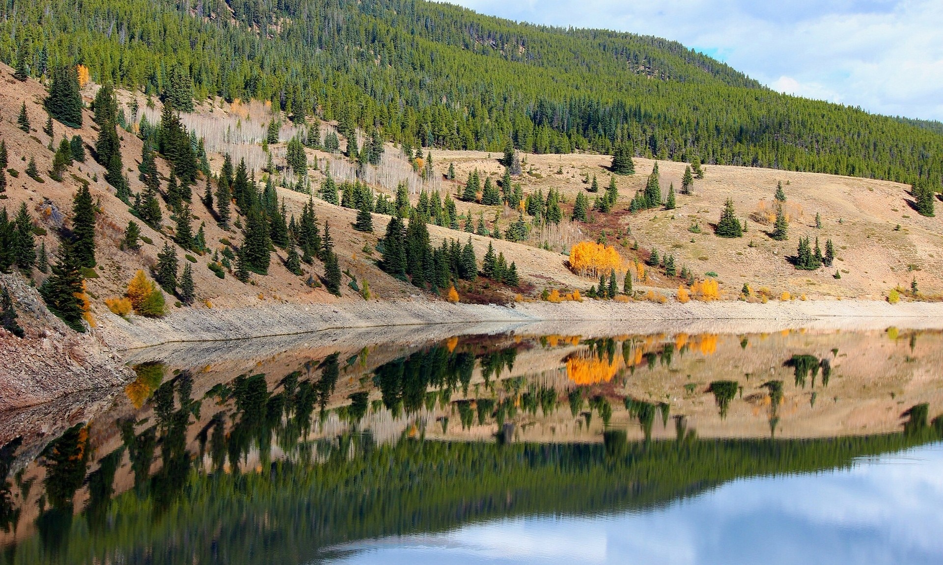 Autumn trees reflected in a mountain lake reservoir HD Wallpaper