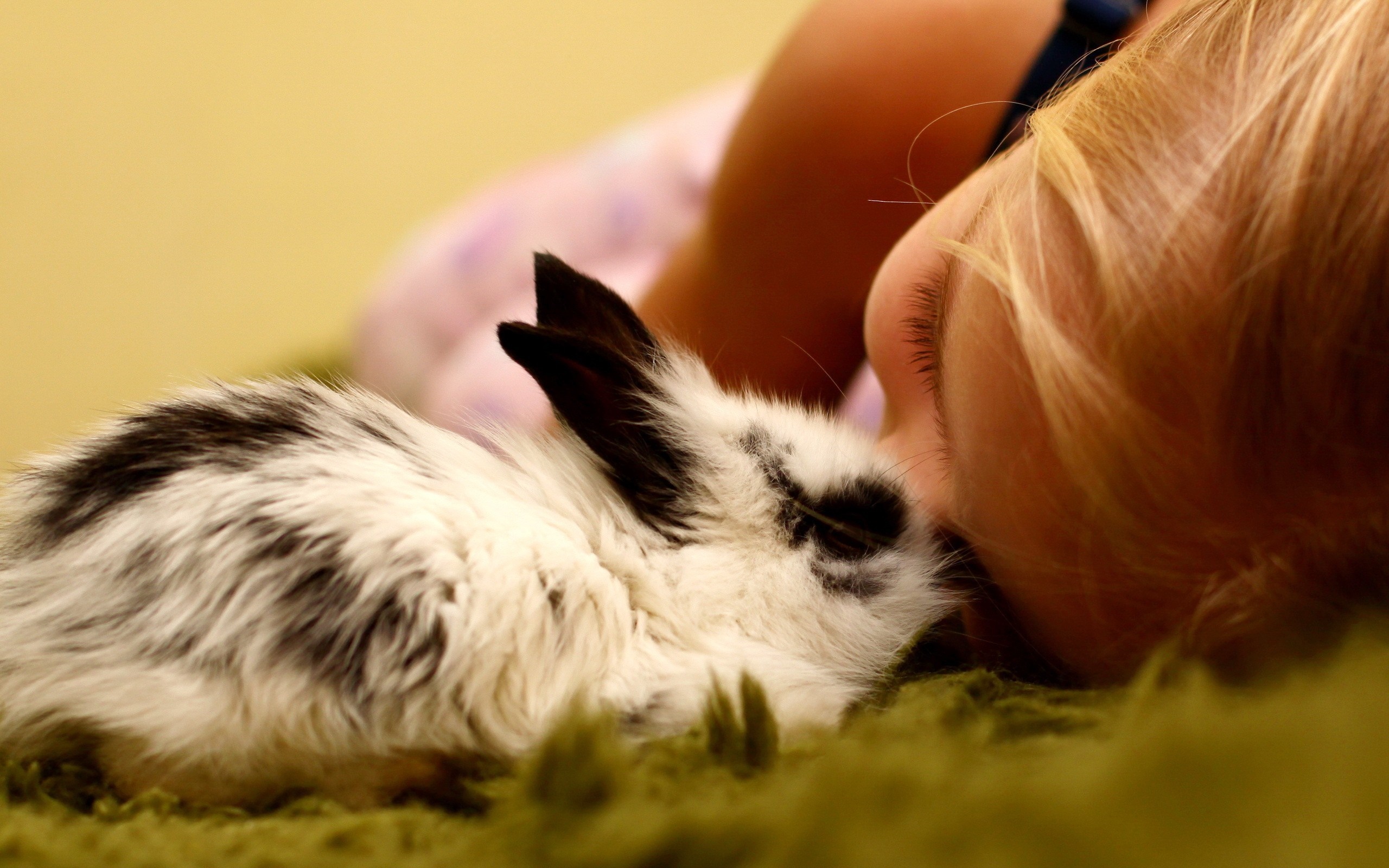 A child and a rabbit sleeping HD Wallpaper