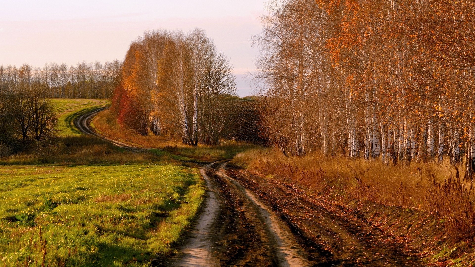 Autumn landscape with a winding dirt road through fields and trees HD Wallpaper