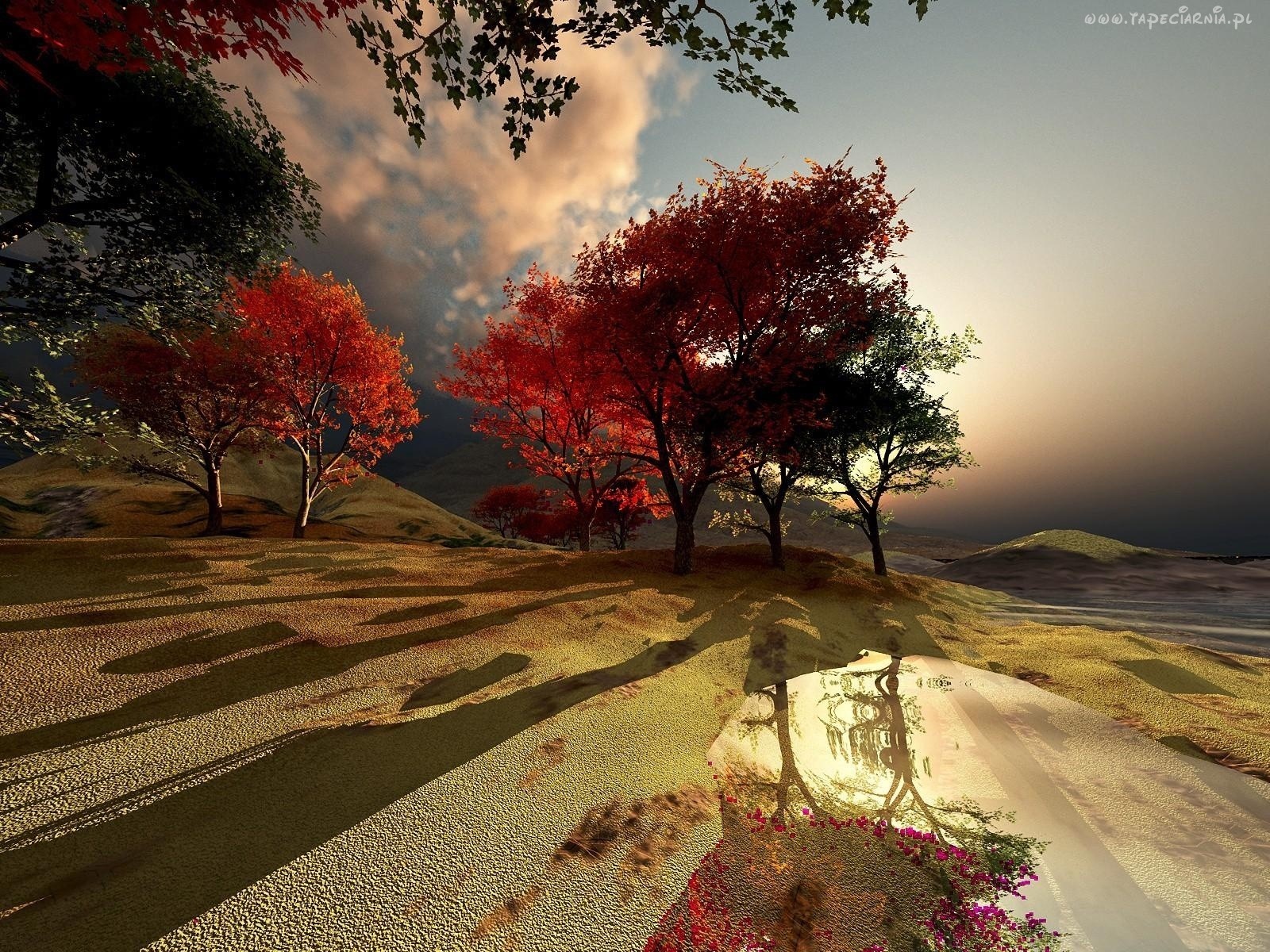 Autumn landscape with trees and reflection HD Wallpaper