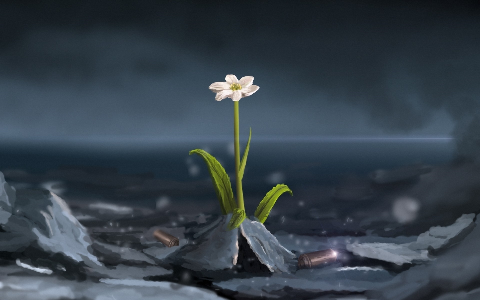 A white flower grows from debris with bullet casings HD Wallpaper
