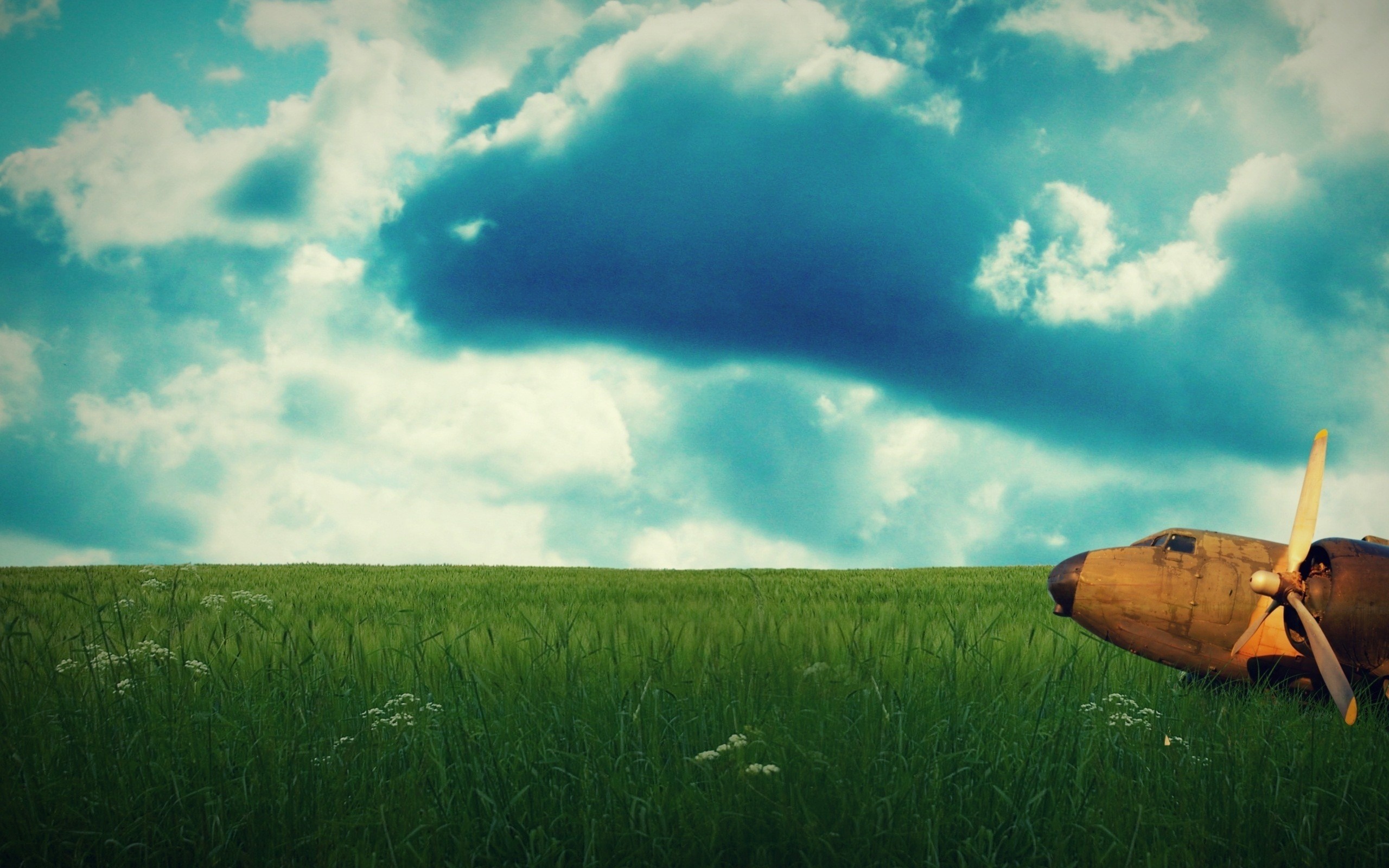 Airplane in a green field under a cloudy sky HD Wallpaper