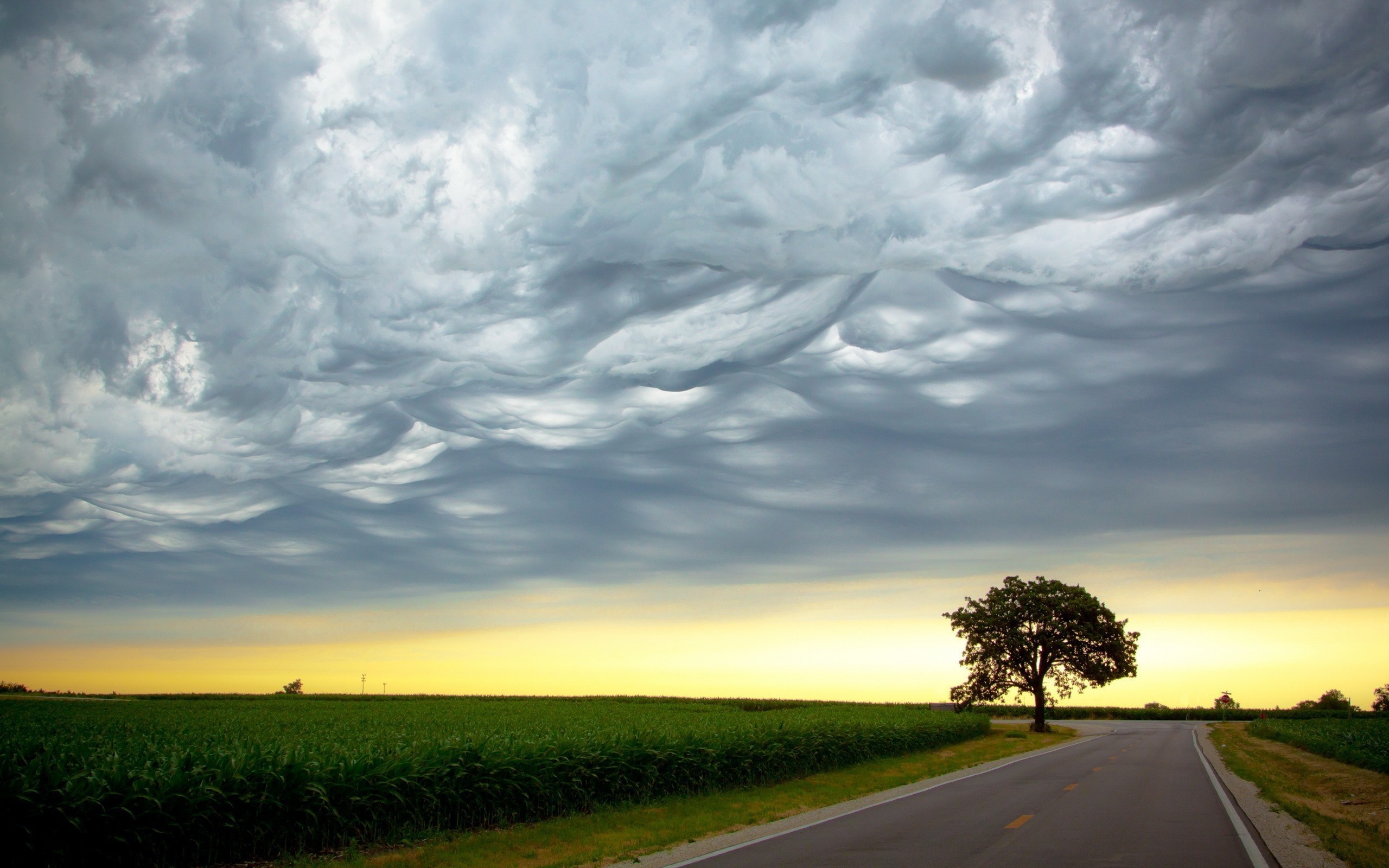 Mammatus clouds over a rural landscape with a road and field HD Wallpaper
