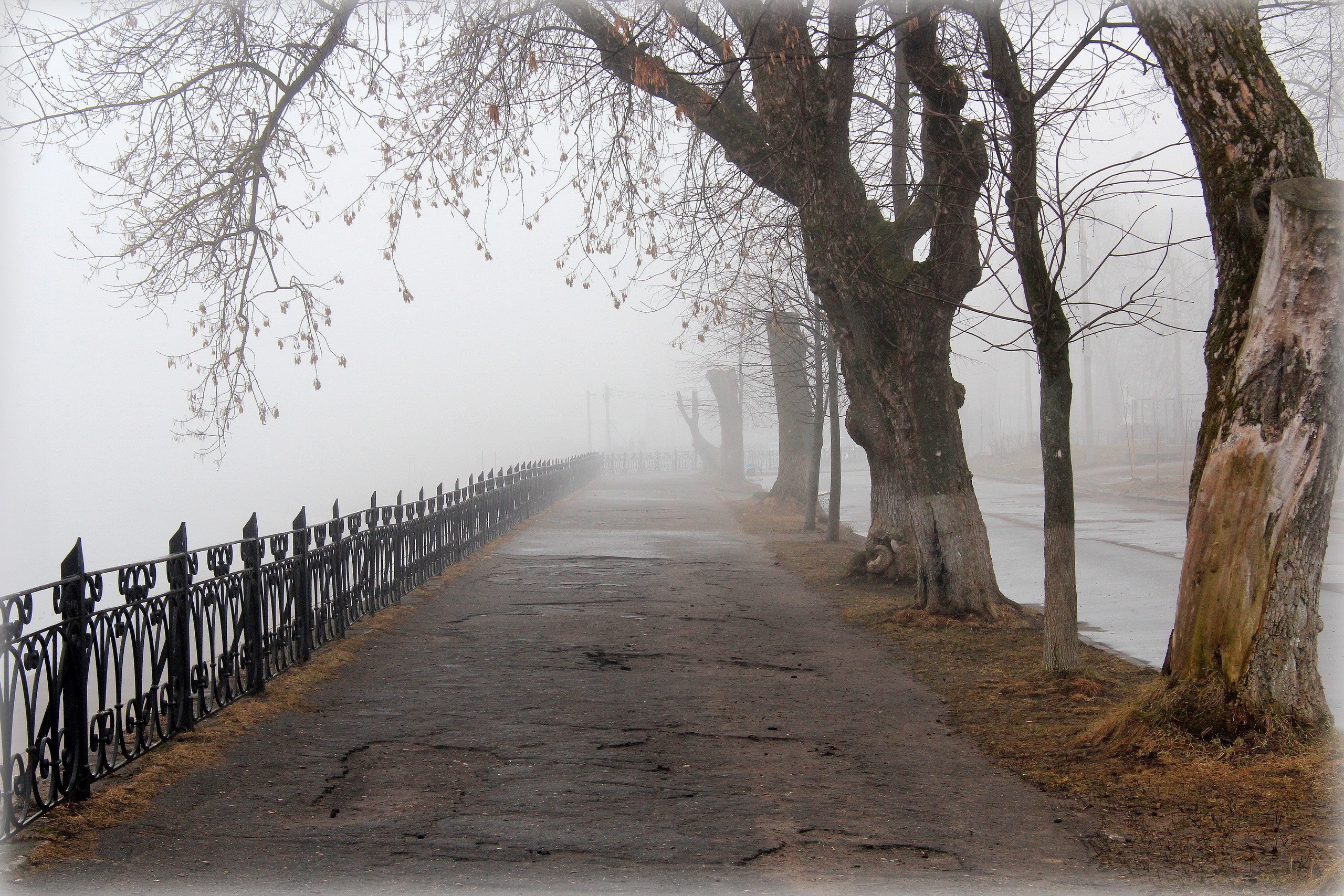 Foggy walkway with trees and a fence HD Wallpaper