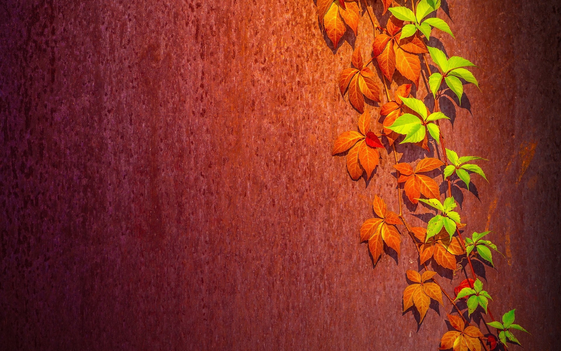 Autumn leaves on a textured rusty wall HD Wallpaper
