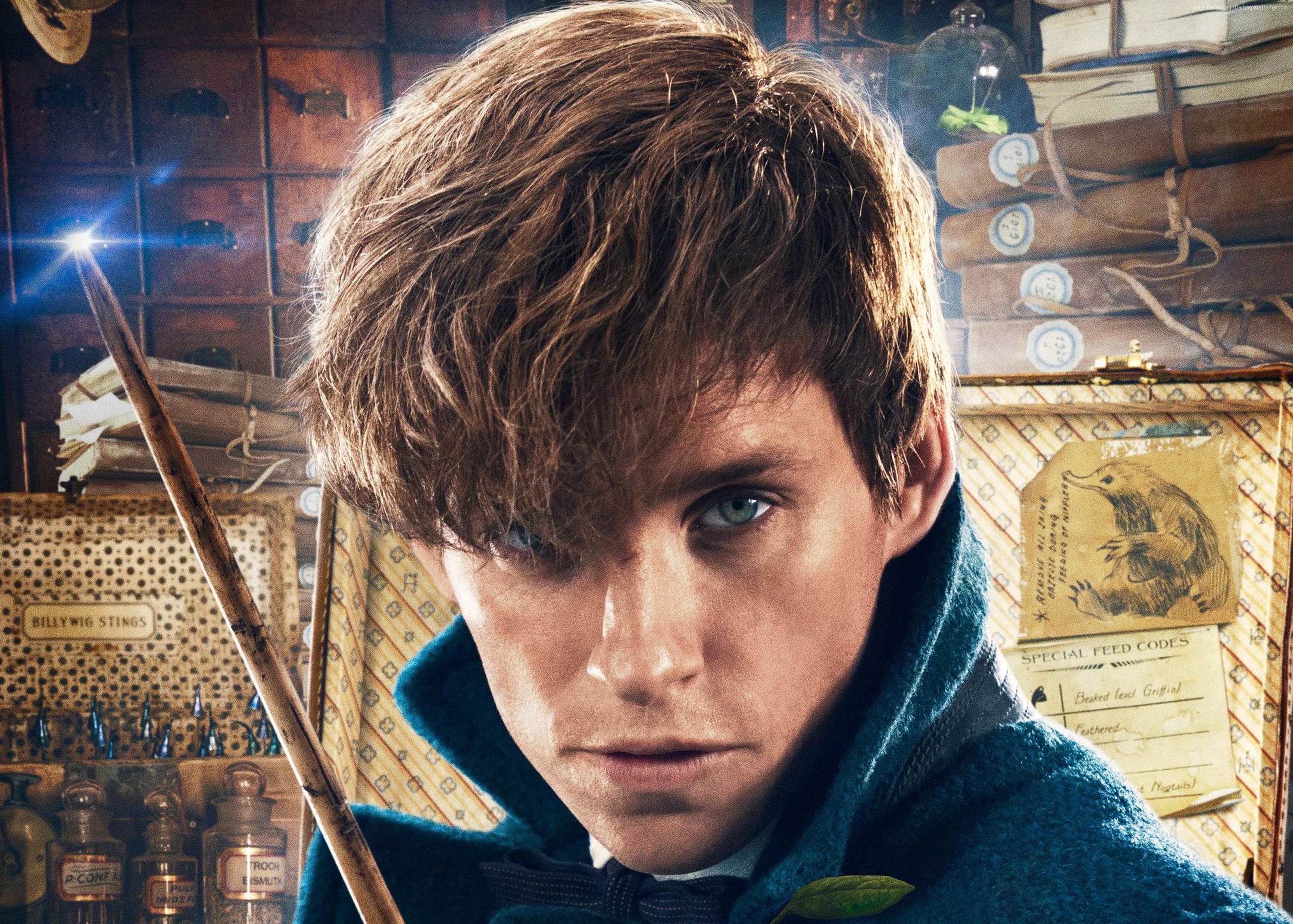 Eddie Redmayne, Best Movies, Fantastic Beasts And Where To Find Them